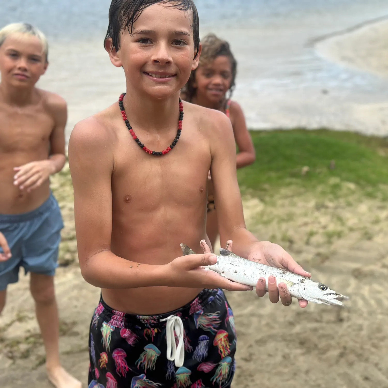 The most recent Great barracuda catches on Fishbrain