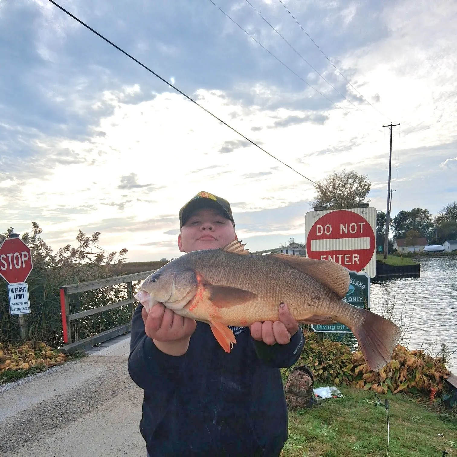 Freshwater drum caught on Fishbrain
