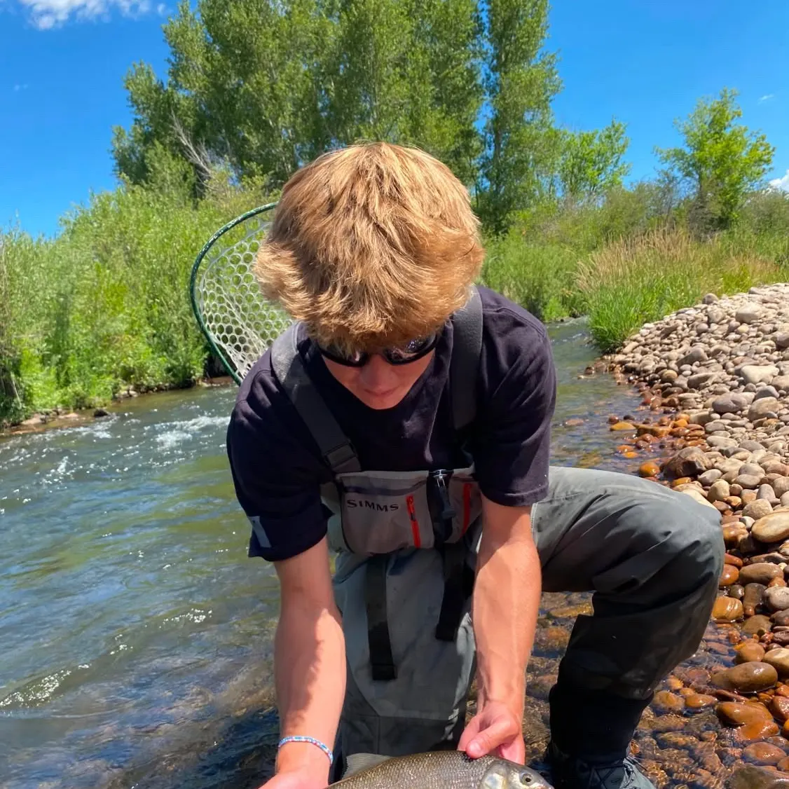 The most recent Mountain whitefish catches on Fishbrain