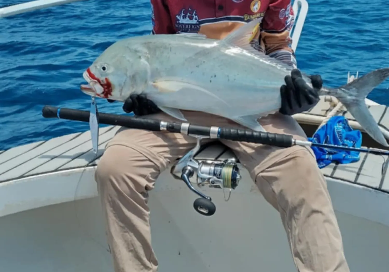 Brassy trevally