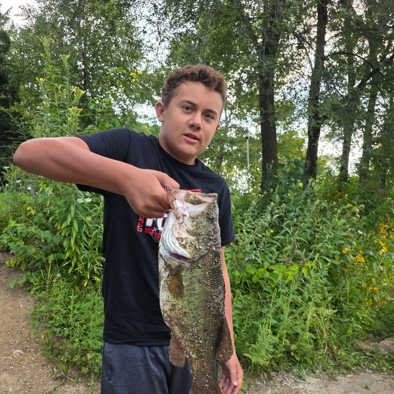 Largemouth bass caught on Fishbrain