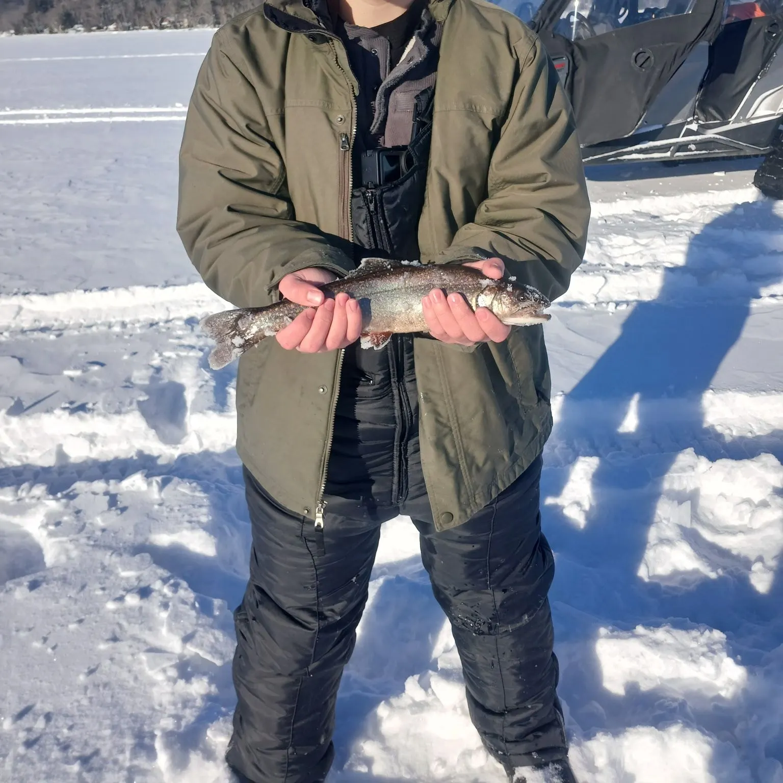 The most recent Splake catches on Fishbrain