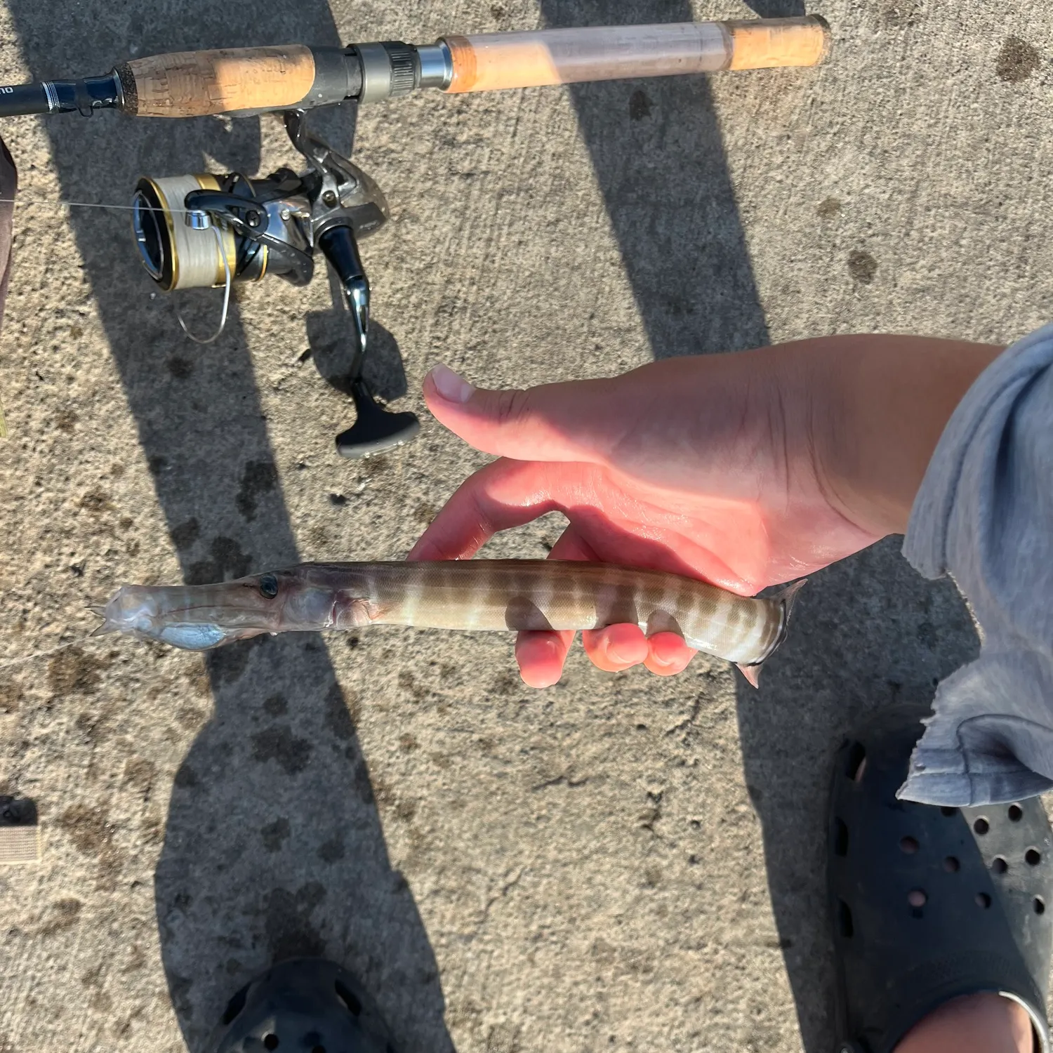 catch