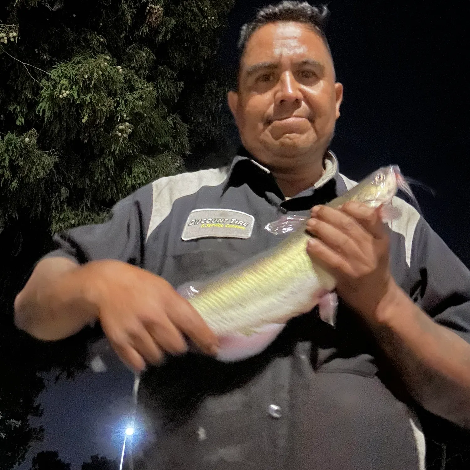 Channel catfish caught on Fishbrain