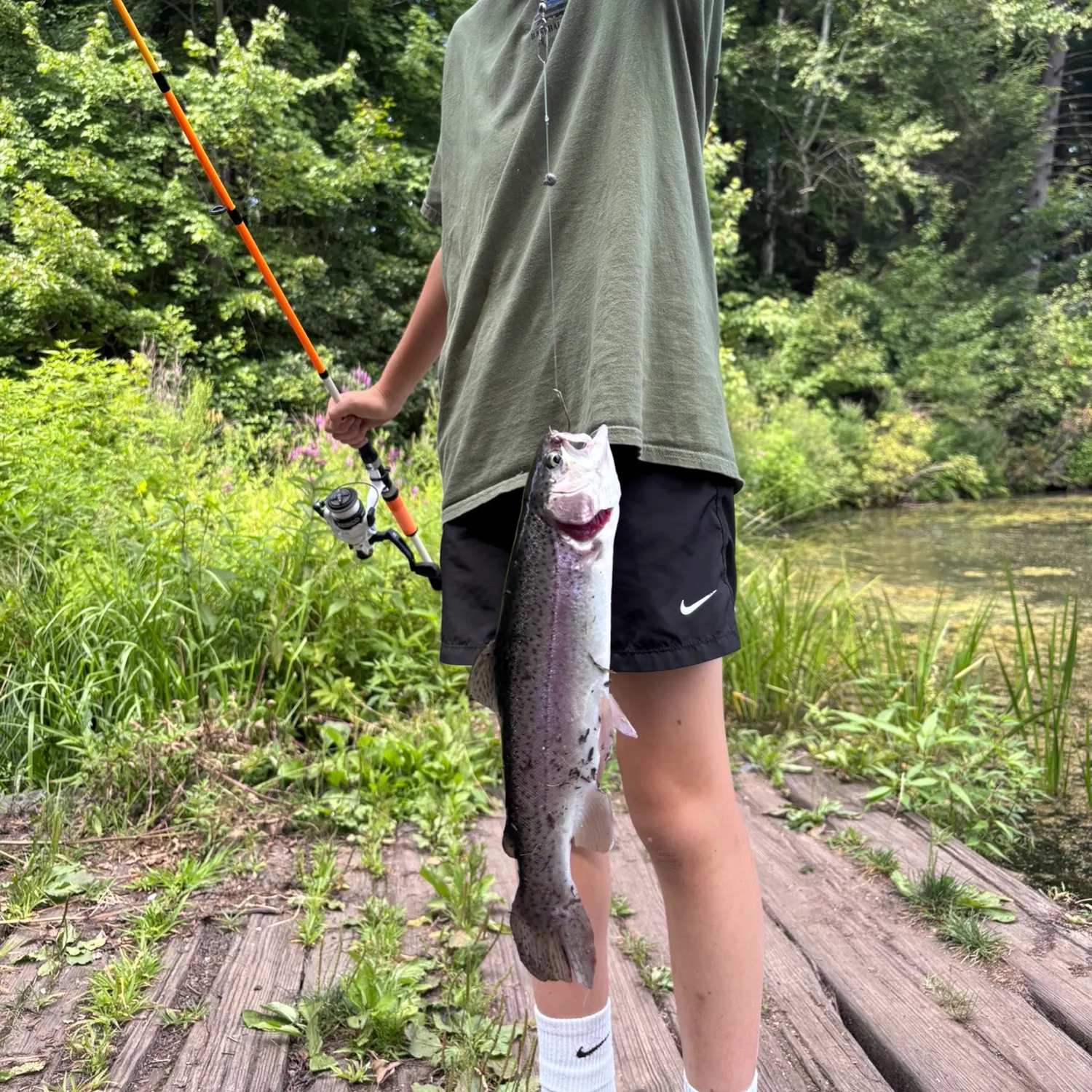 Rainbow trout caught on Fishbrain