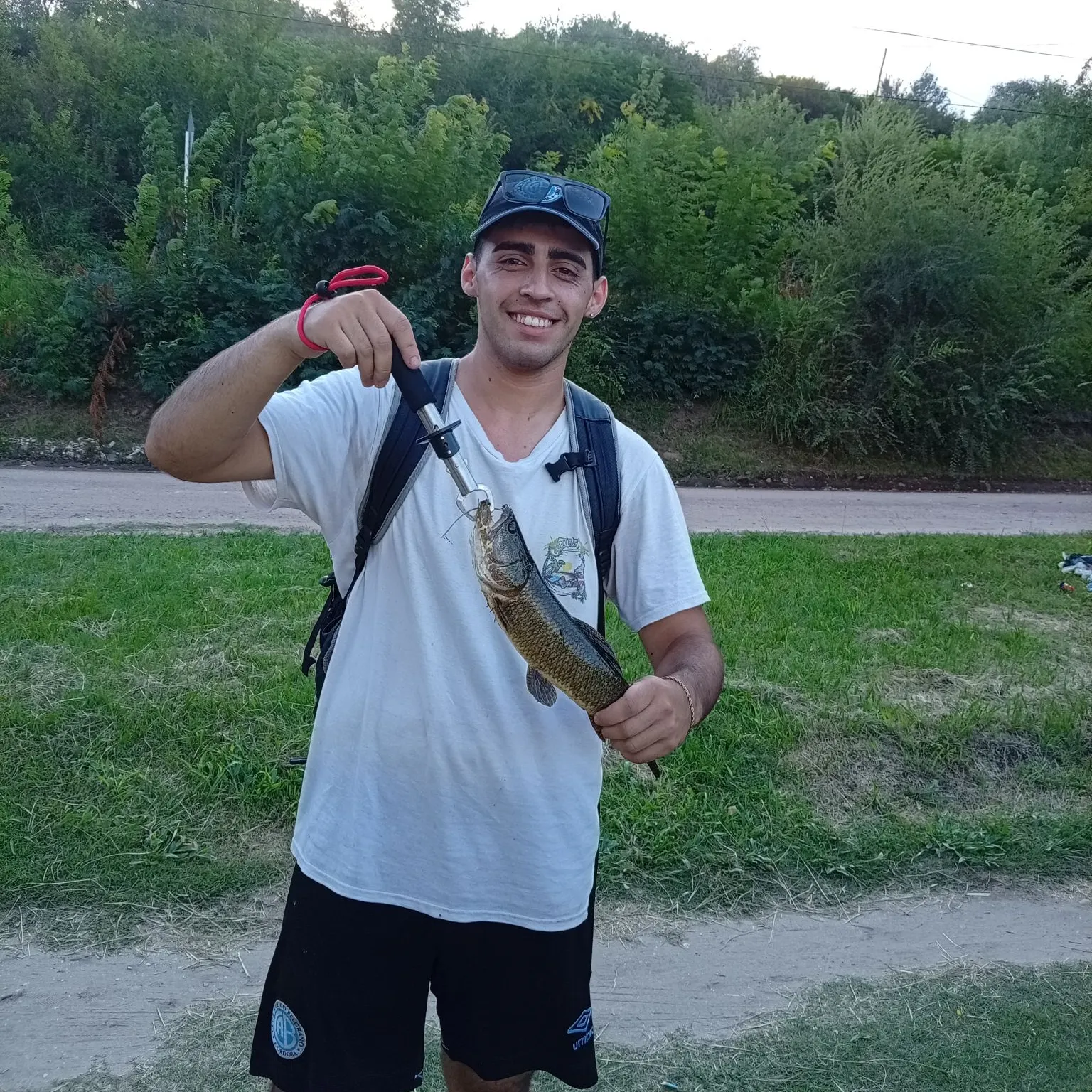 The most recent Trahira catches on Fishbrain