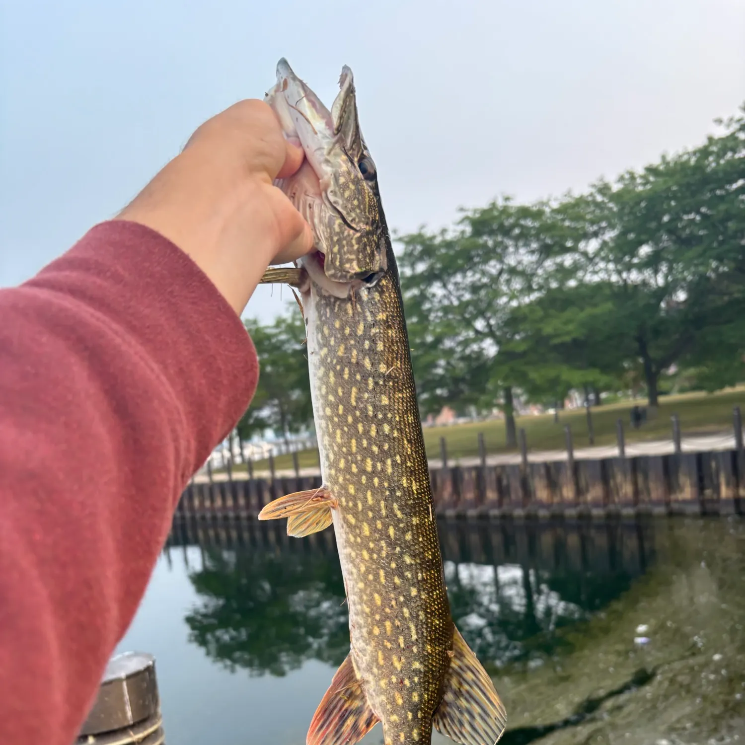 catch