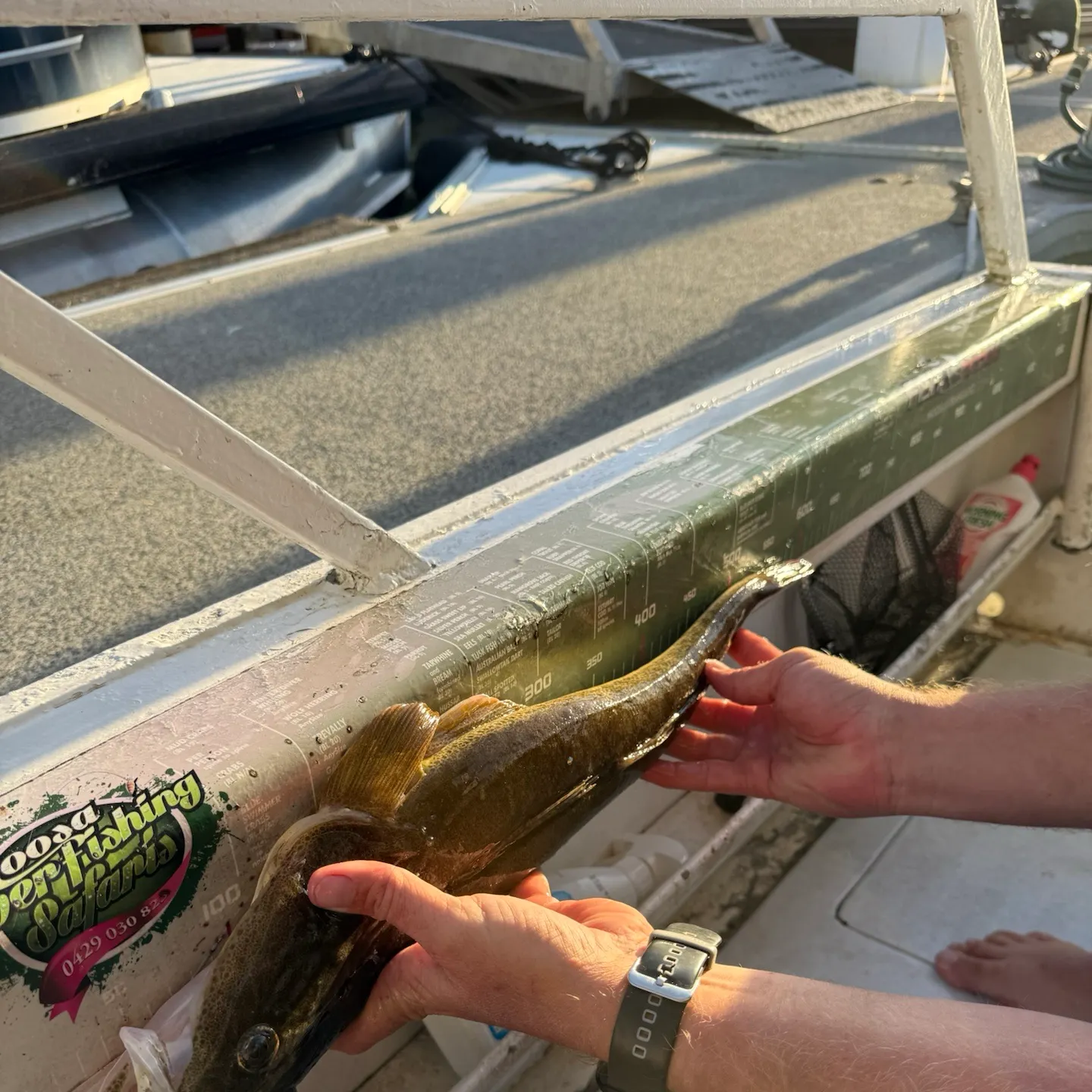 Dusky flathead caught on Fishbrain