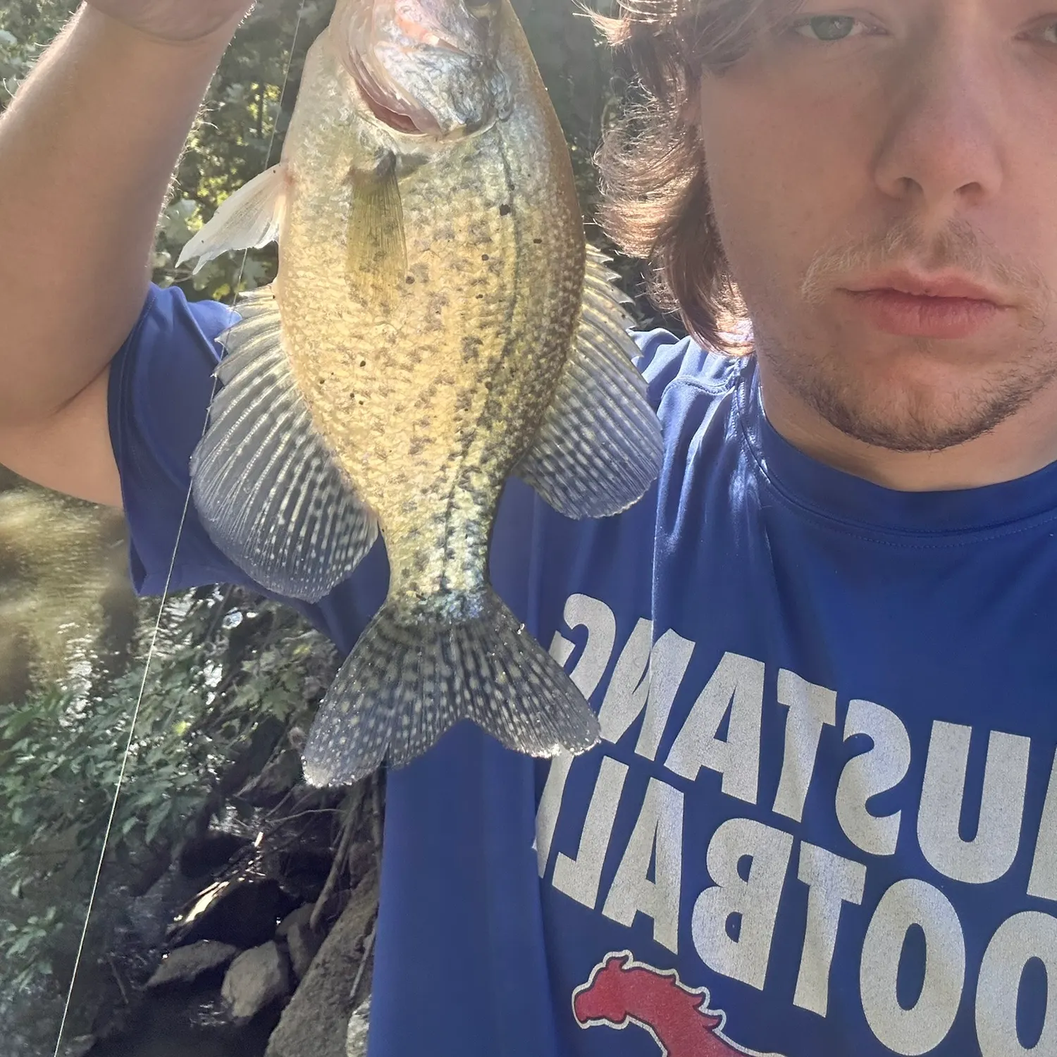 Black crappie caught on Fishbrain