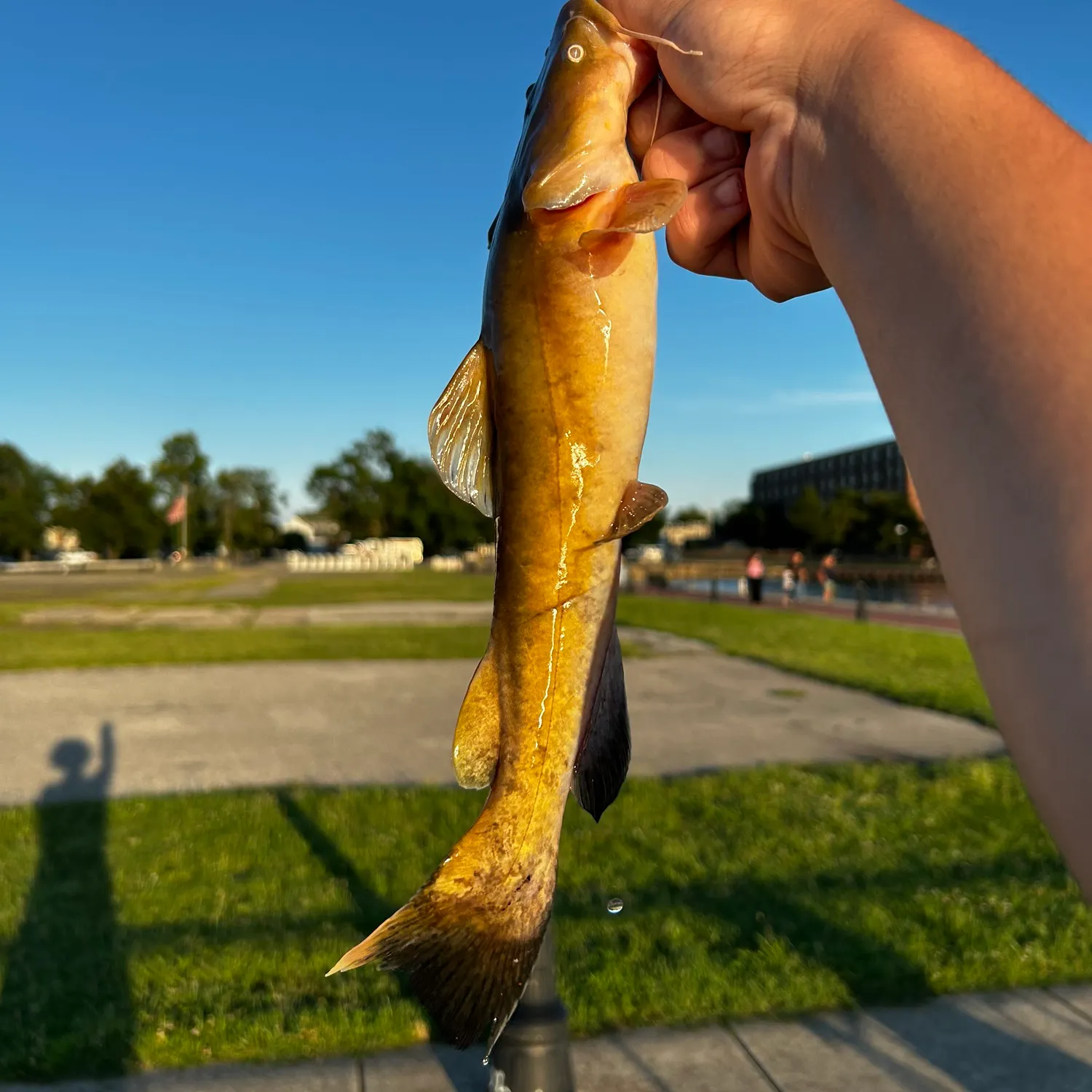 catch