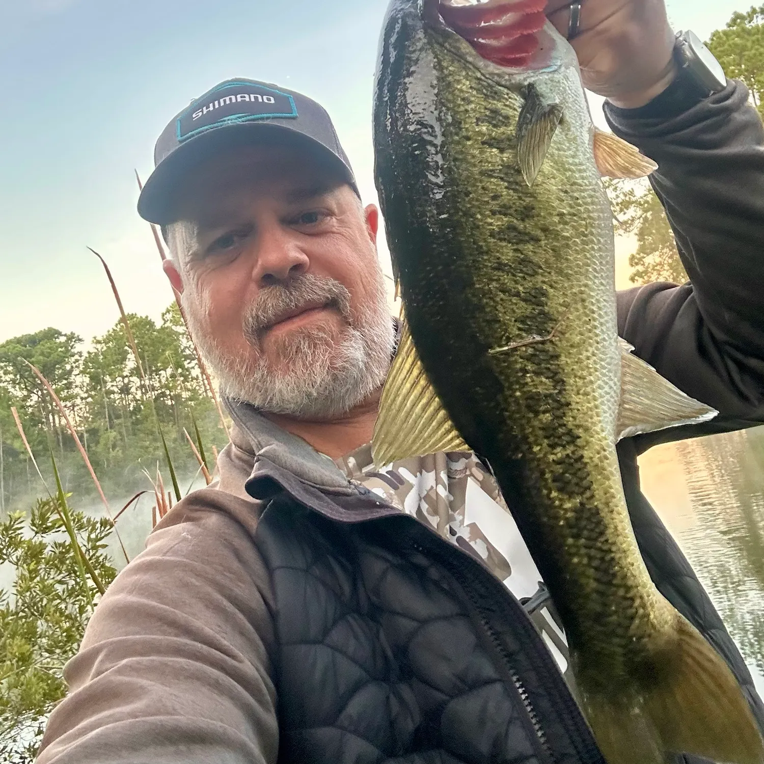 Largemouth bass caught on Fishbrain