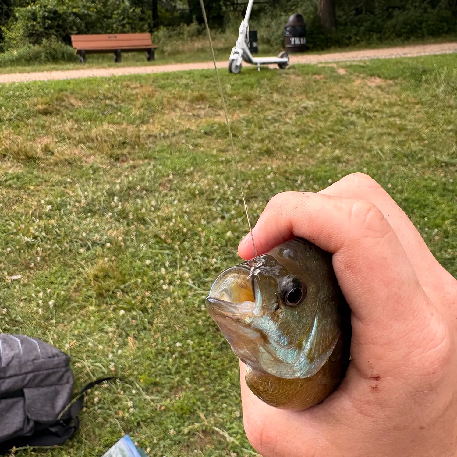catch