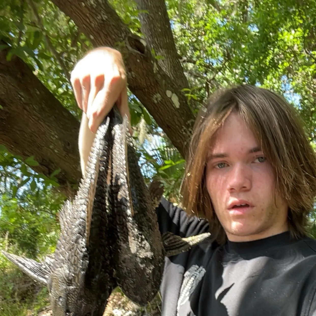 The most recent Suckermouth catfish catches on Fishbrain