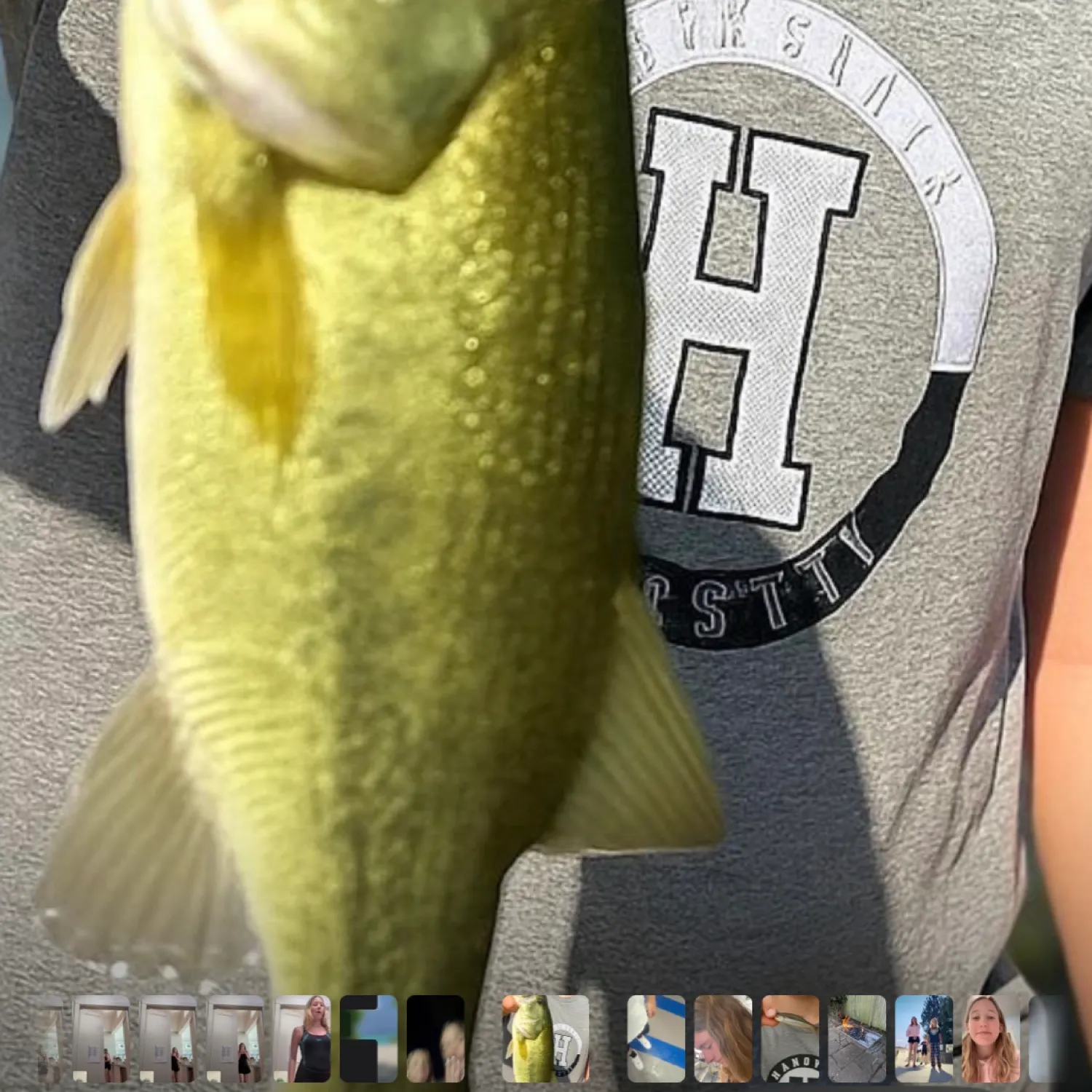 recently logged catches