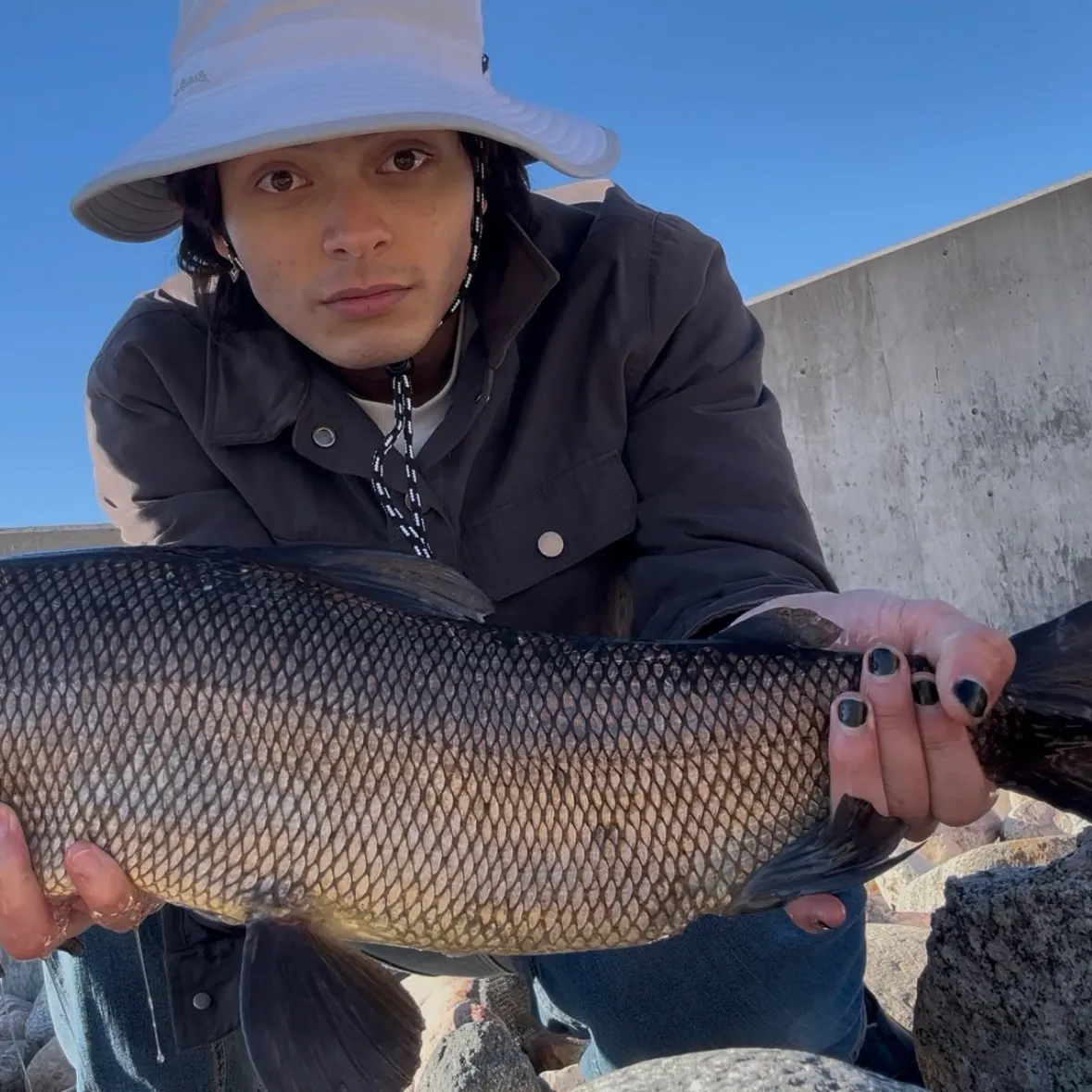 The most recent Lake whitefish catches on Fishbrain