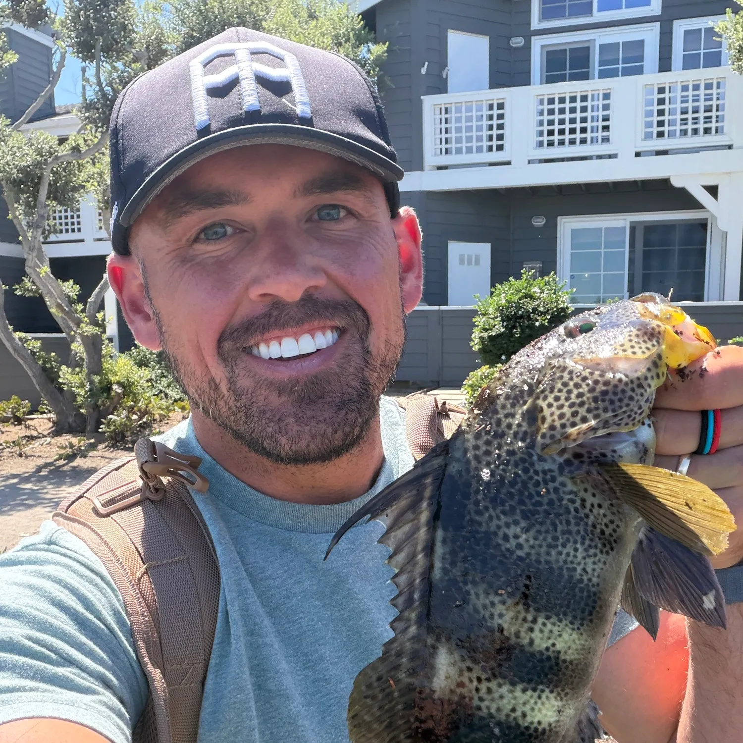 Spotted sand bass caught on Fishbrain