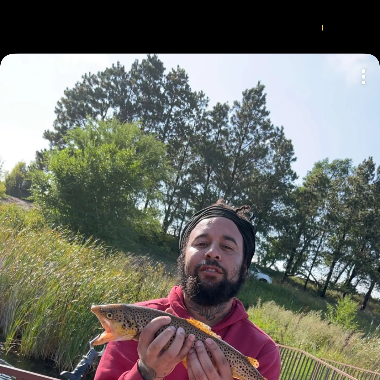 Brown trout caught on Fishbrain