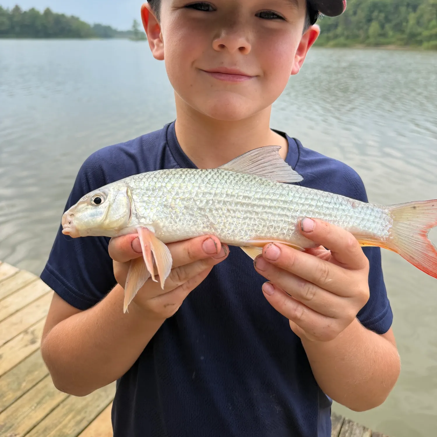 Shorthead redhorse caught on Fishbrain