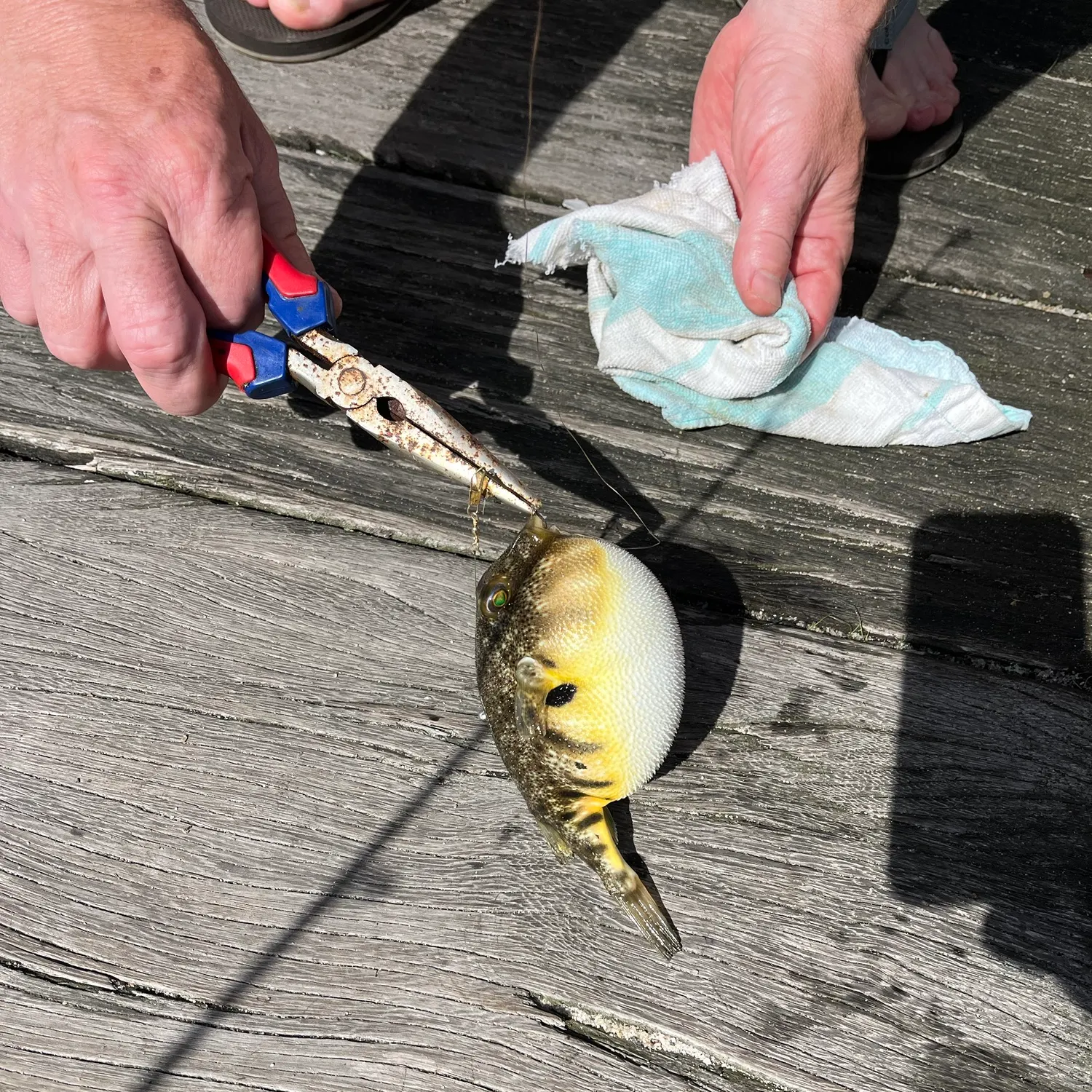 catch