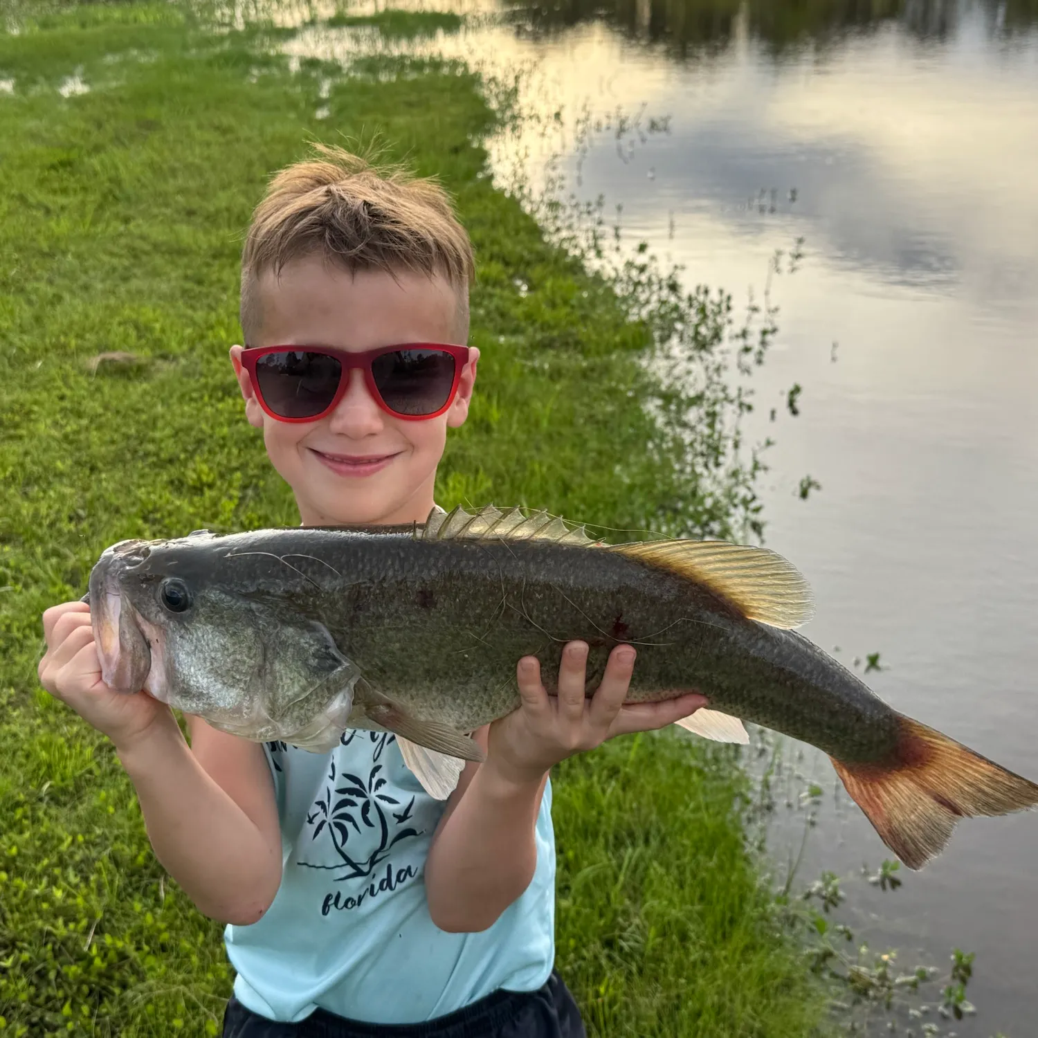 Largemouth bass caught on Fishbrain