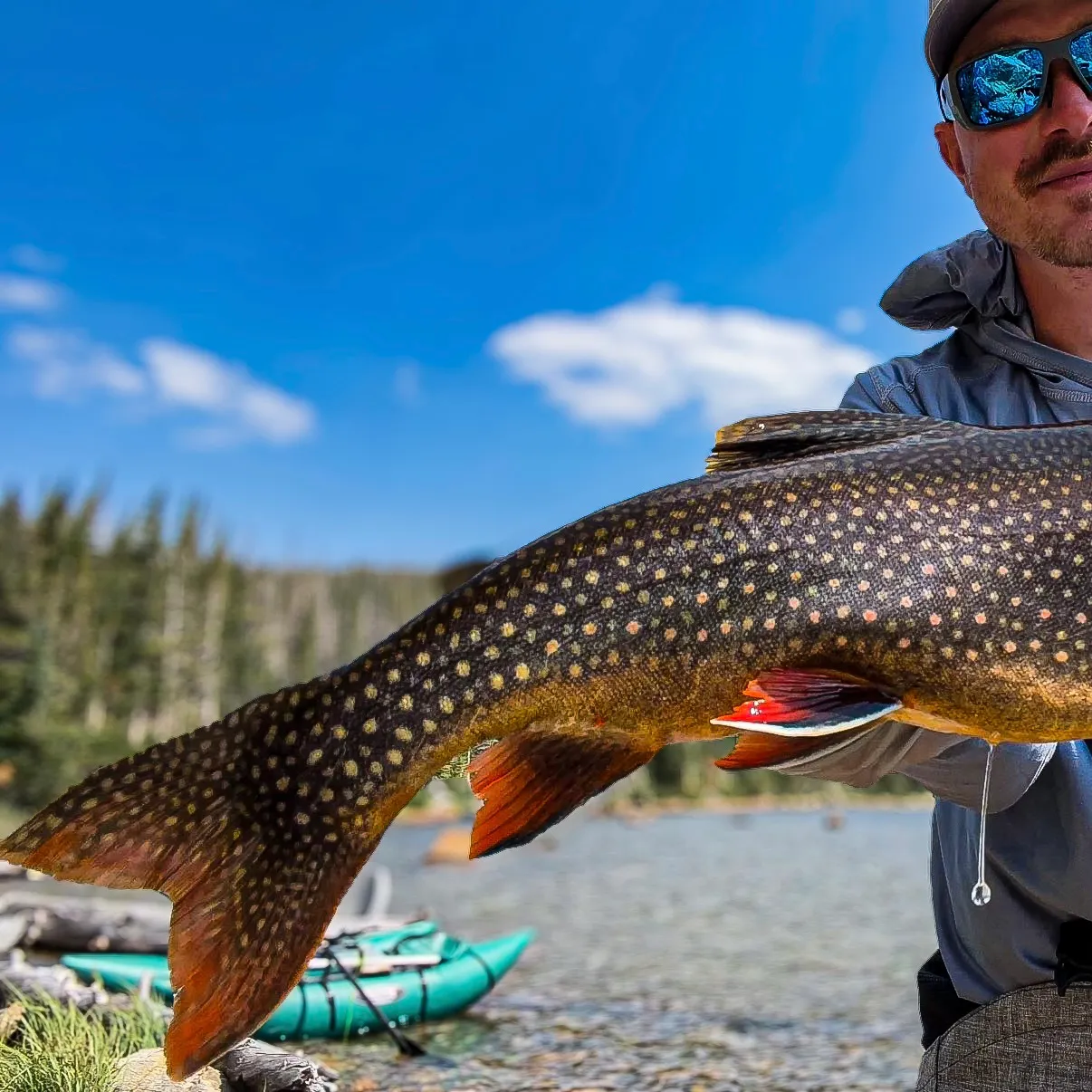 The most recent Splake catches on Fishbrain