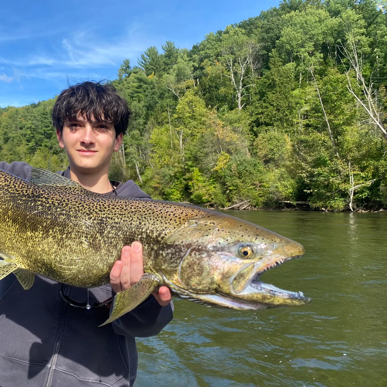 Chinook salmon caught on Fishbrain