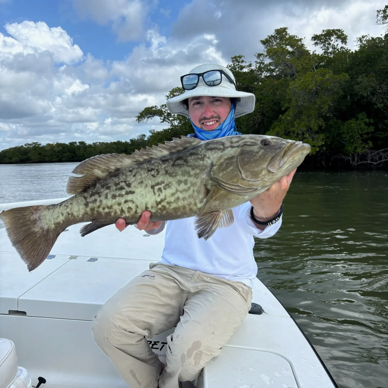 The most recent Gag grouper catches on Fishbrain