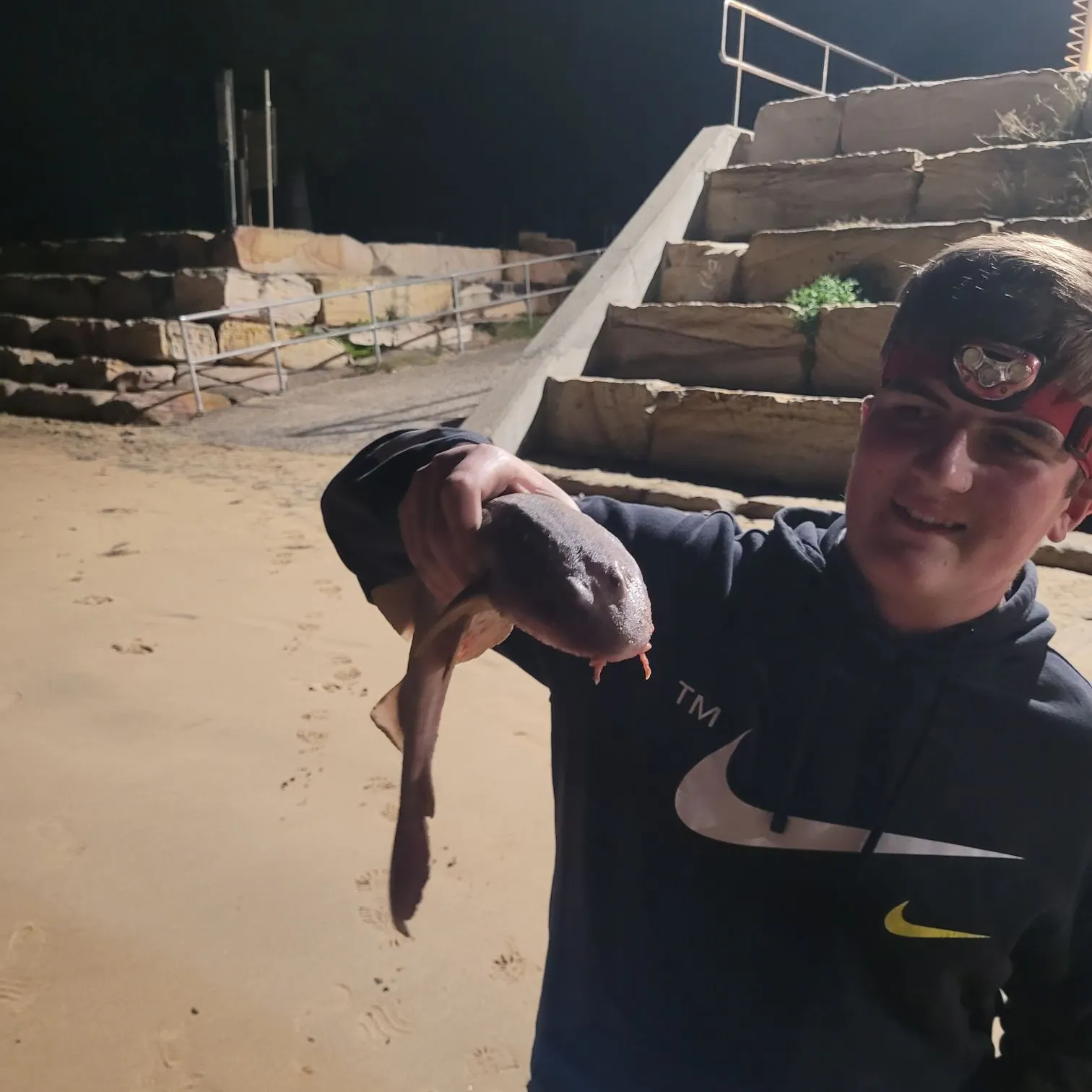 The most recent Port Jackson shark catches on Fishbrain
