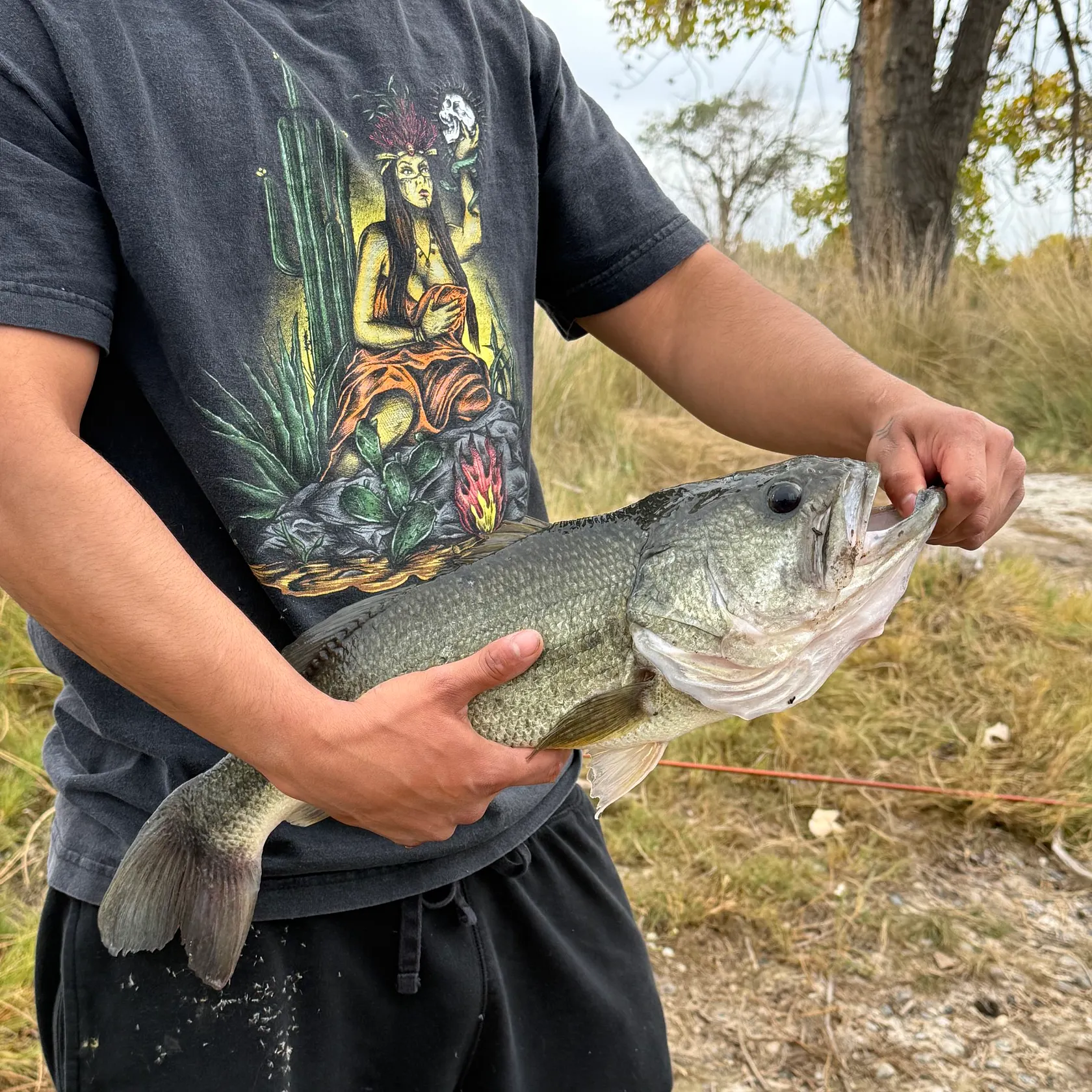 Largemouth bass caught on Fishbrain