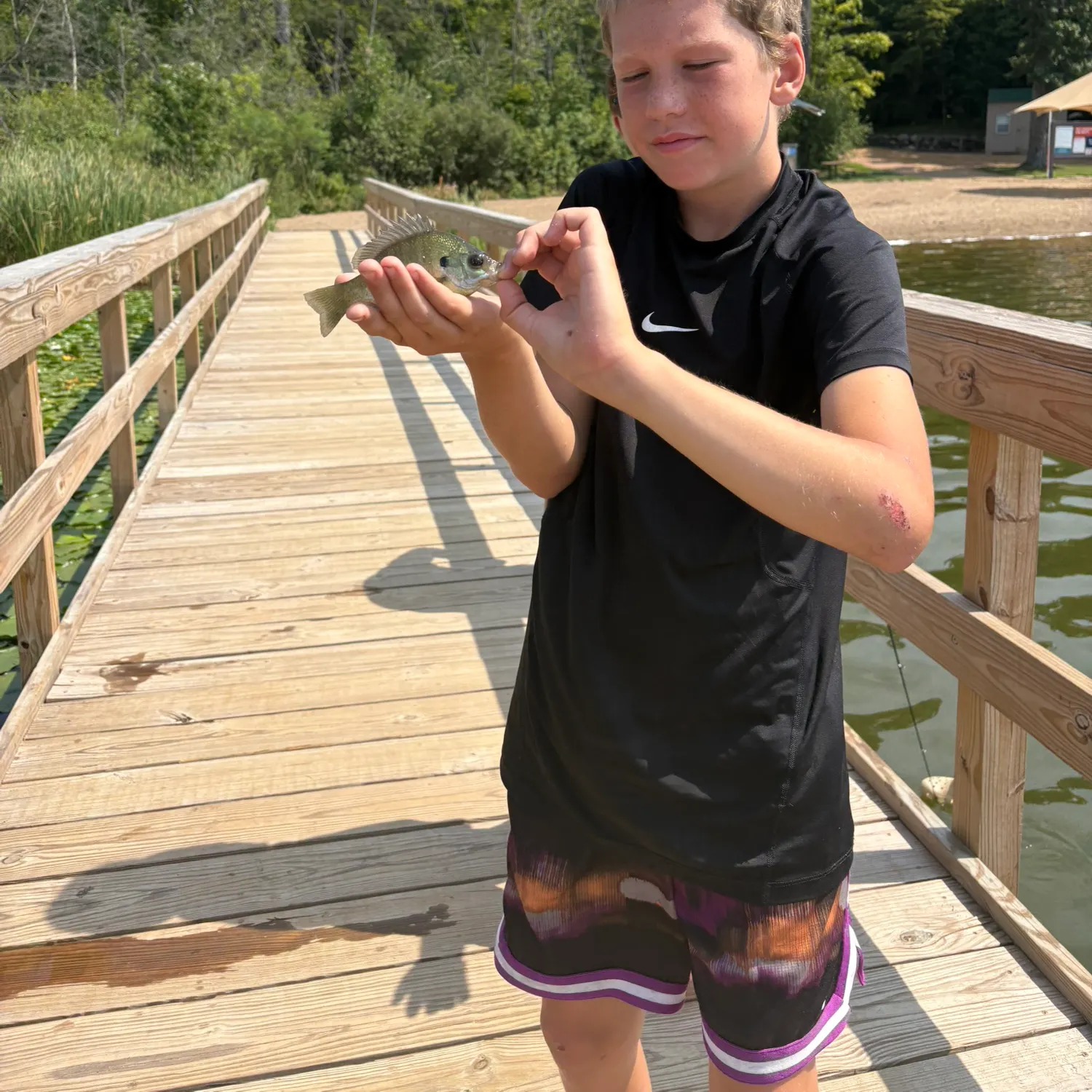 Fish caught on Fishbrain