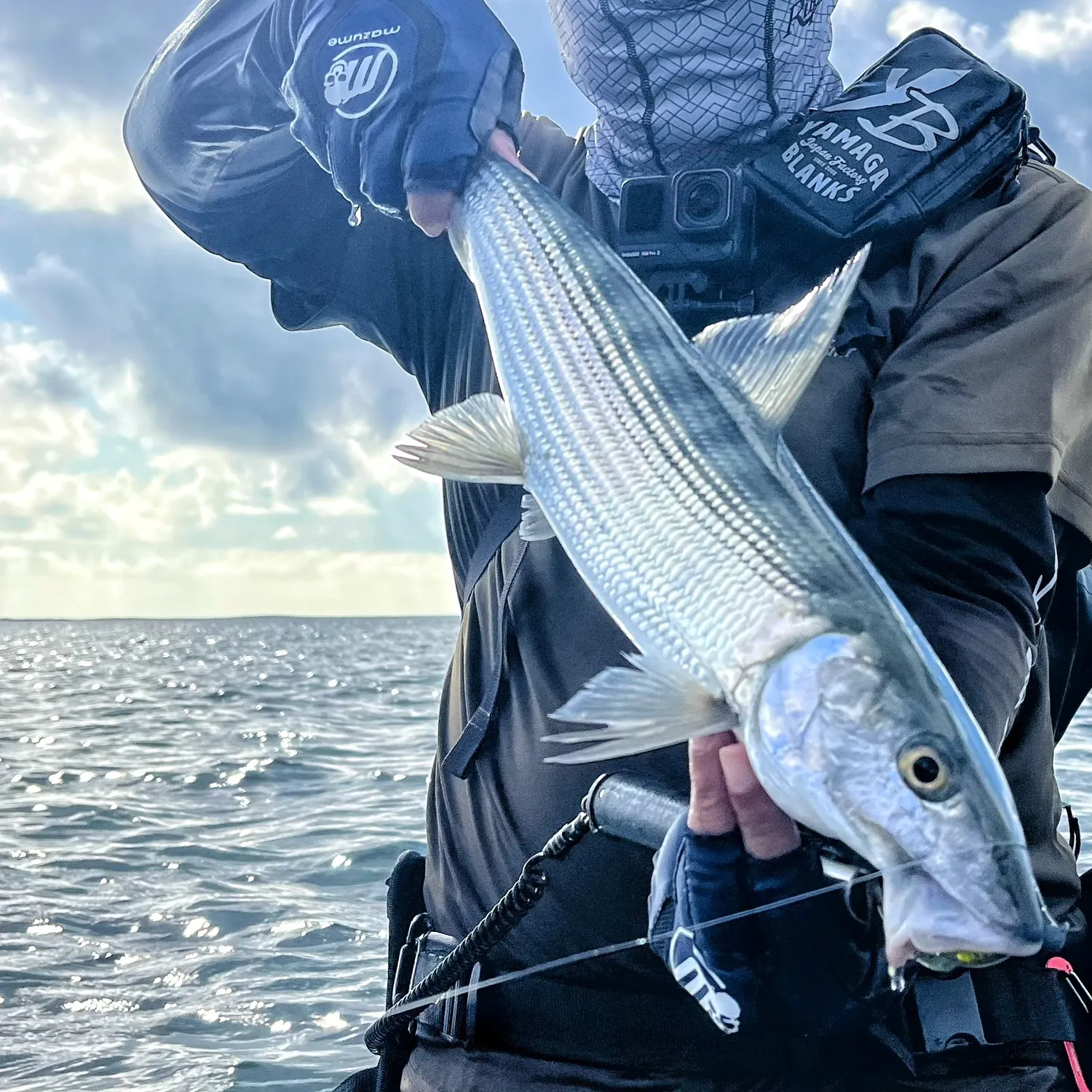 The most recent Roundjaw bonefish catches on Fishbrain