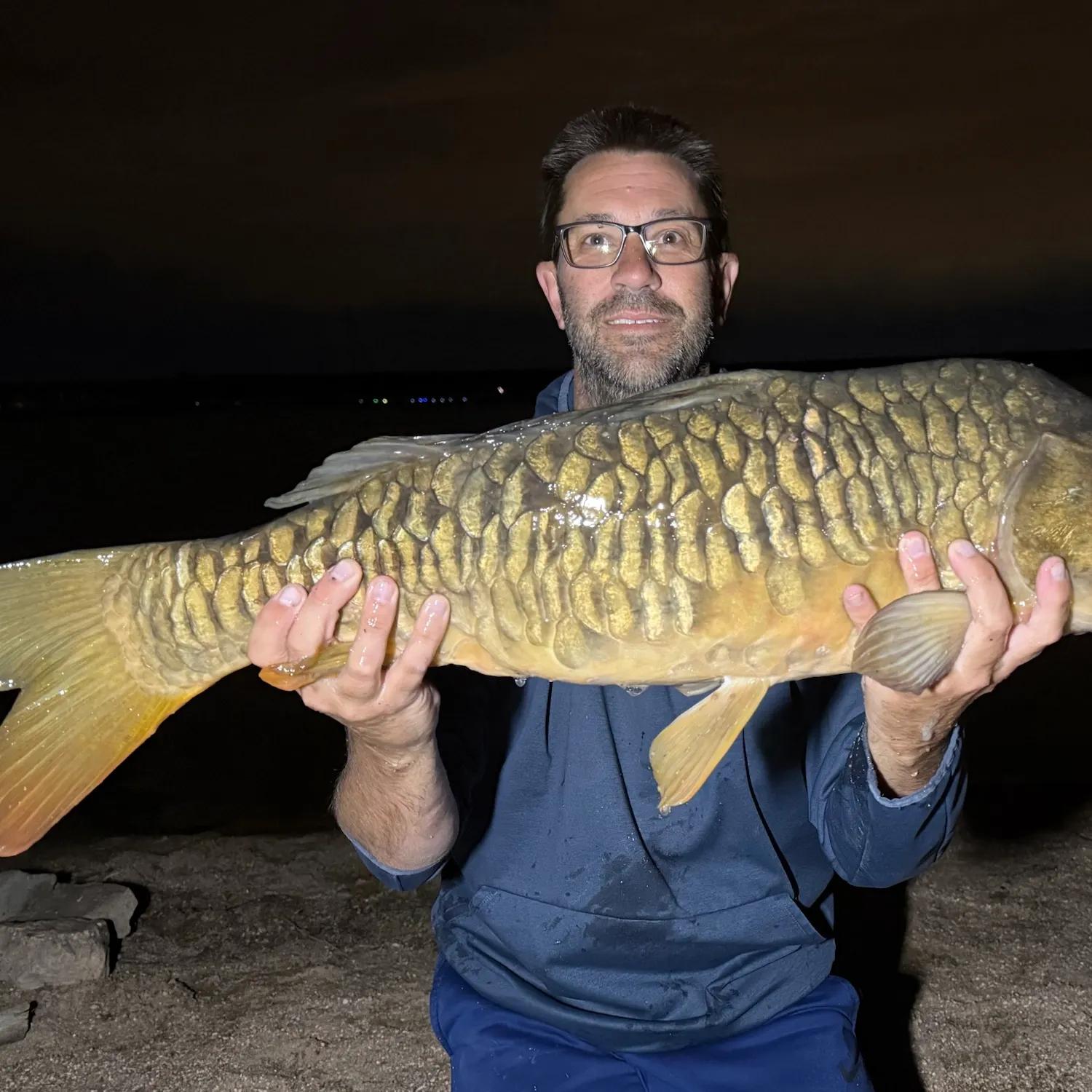 Mirror carp caught on Fishbrain