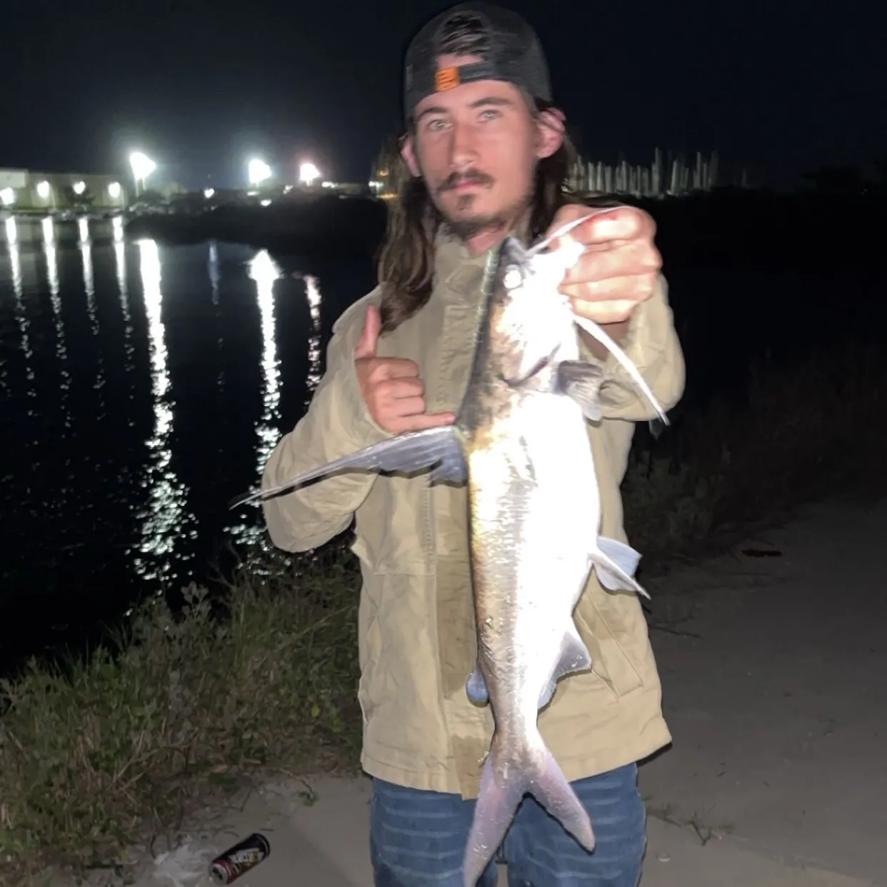 Gafftopsail sea catfish caught on Fishbrain