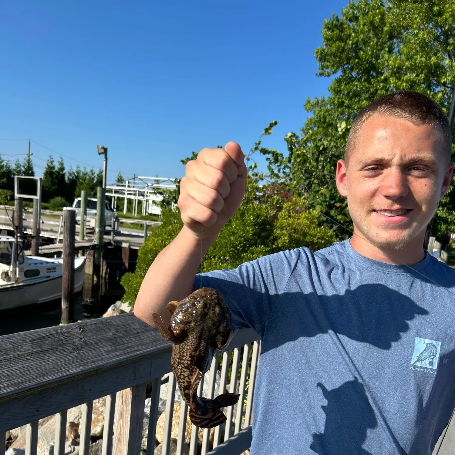 The most recent Spinyhead sculpin catches on Fishbrain