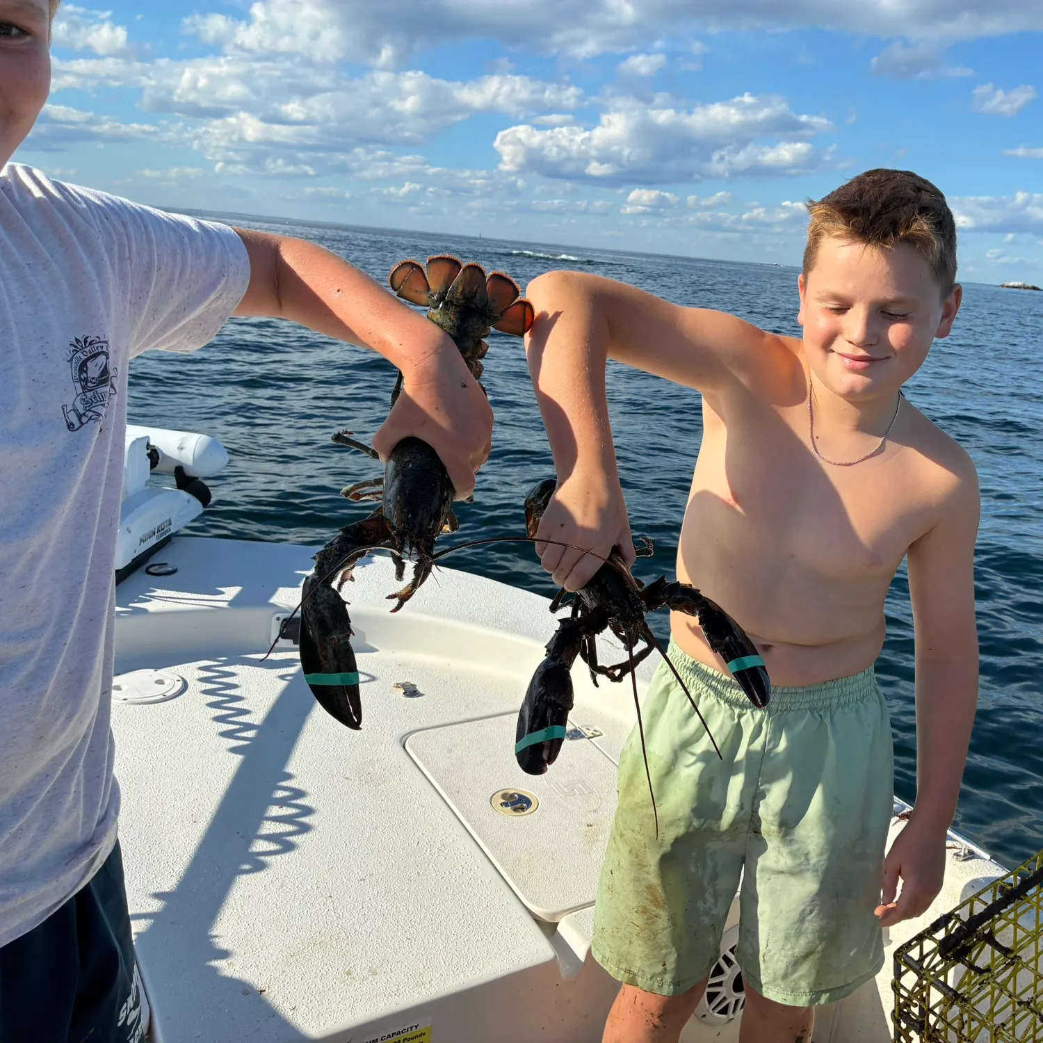 American lobster caught on Fishbrain