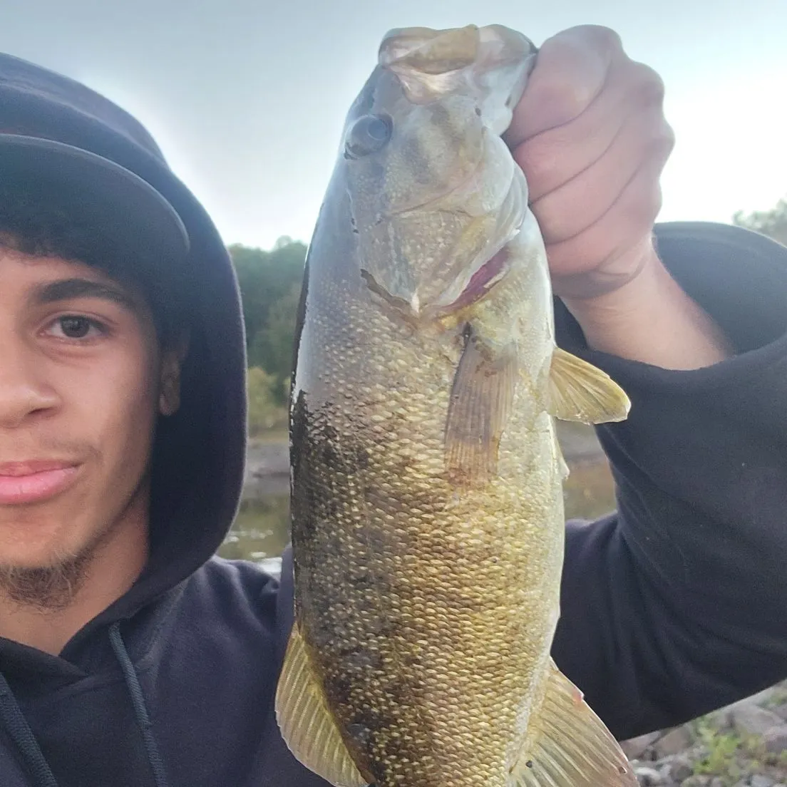 Smallmouth bass caught on Fishbrain