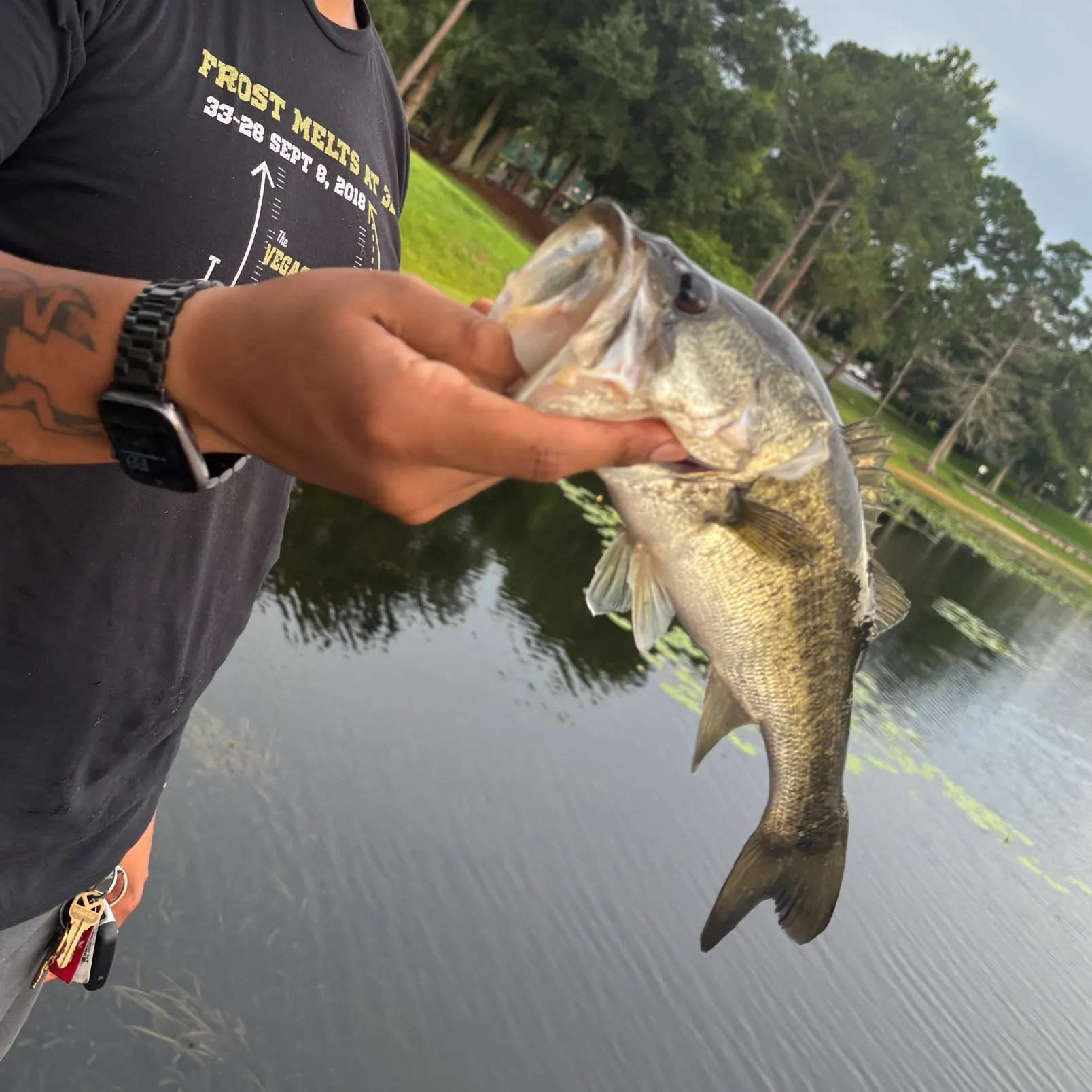recently logged catches