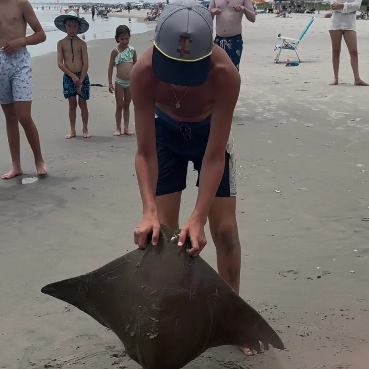 The most recent Cownose Ray catches on Fishbrain