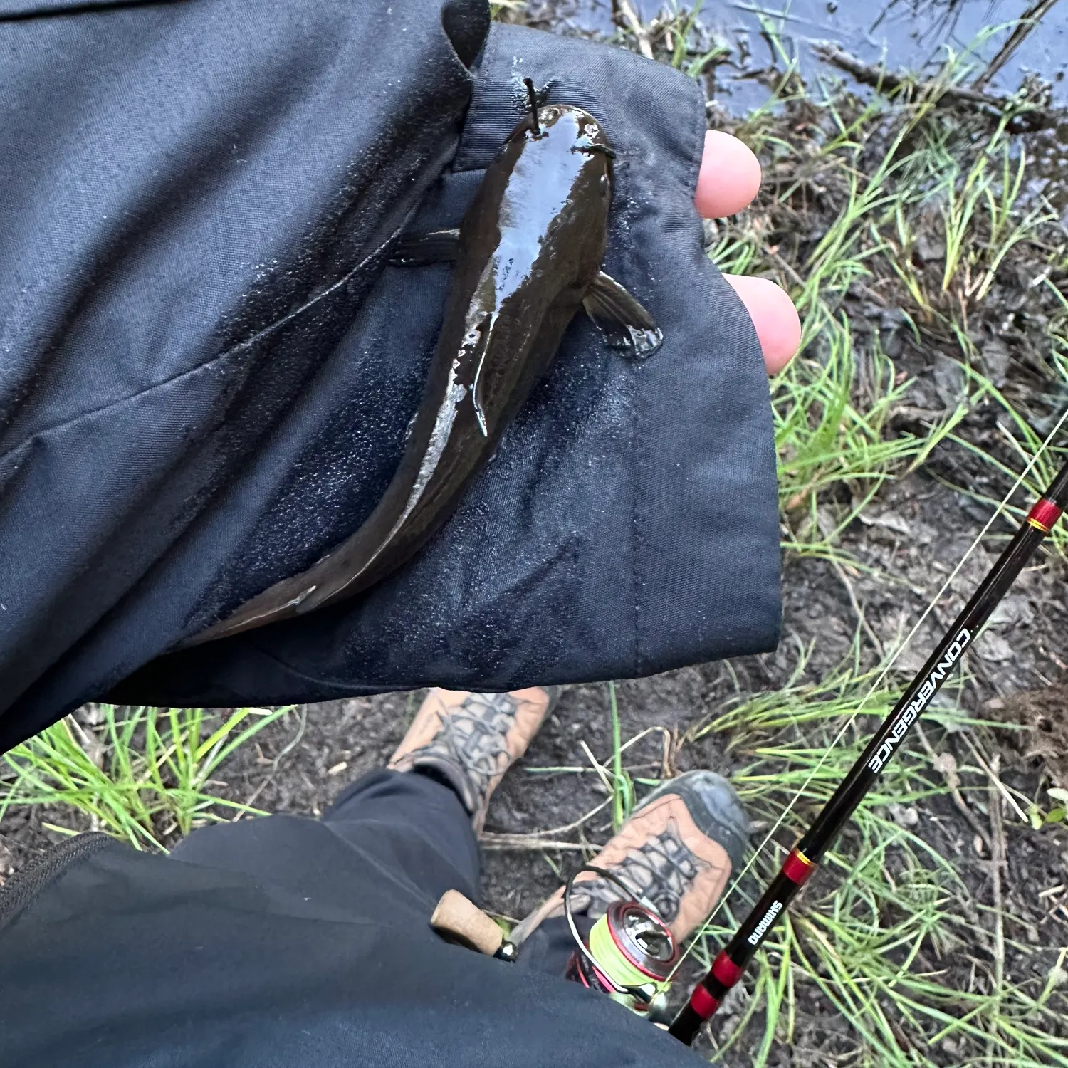 angler catch