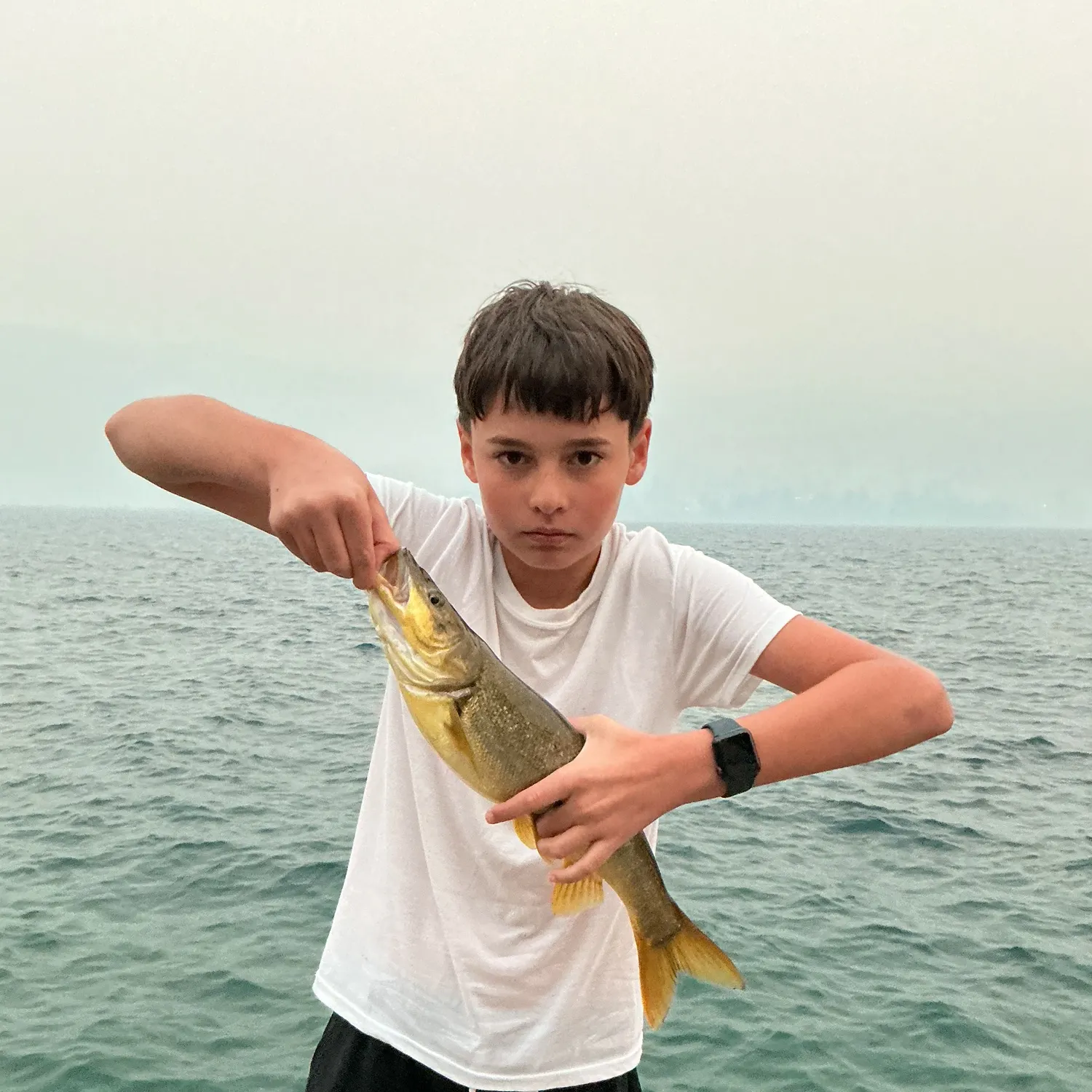 The most recent Northern pikeminnow catches on Fishbrain