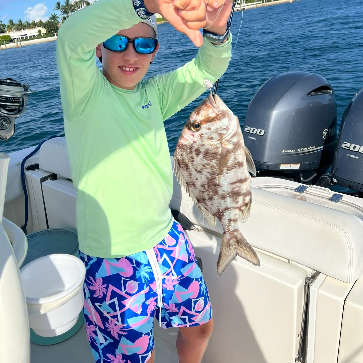 The most recent Sheepshead porgy catches on Fishbrain