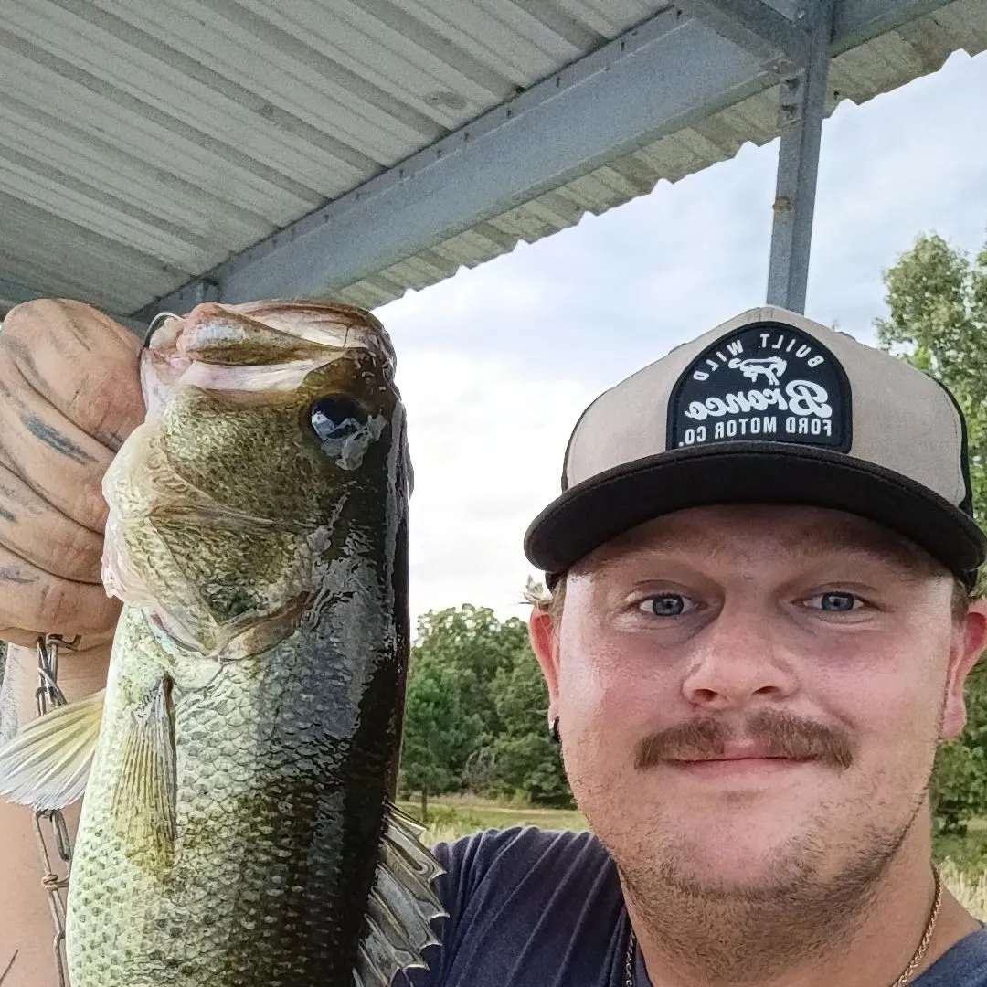 Fish caught on Fishbrain