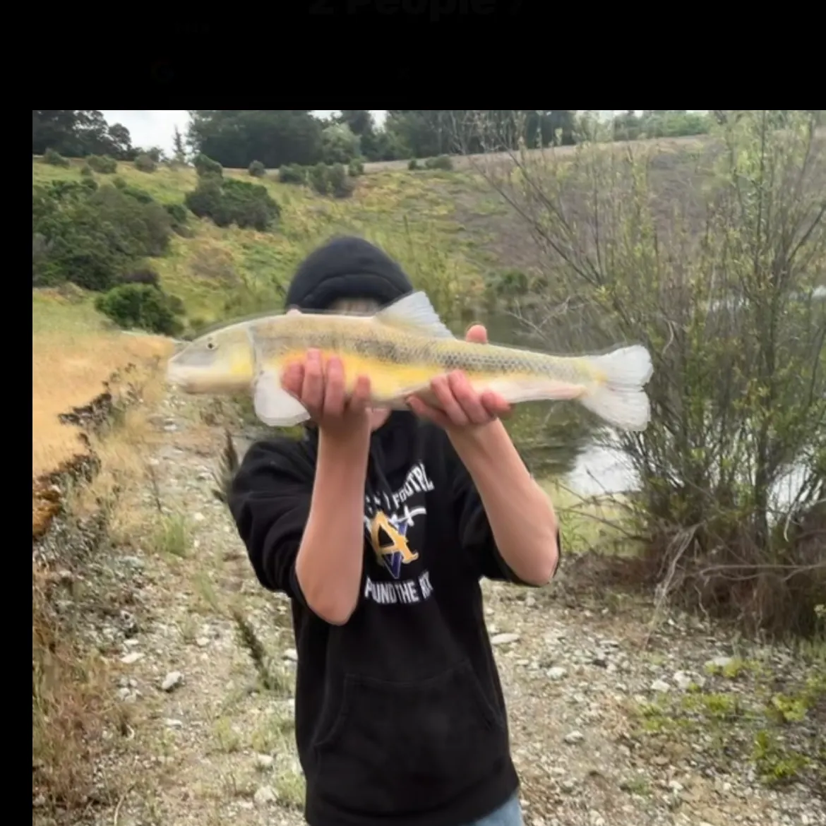 The most recent Sacramento sucker catches on Fishbrain
