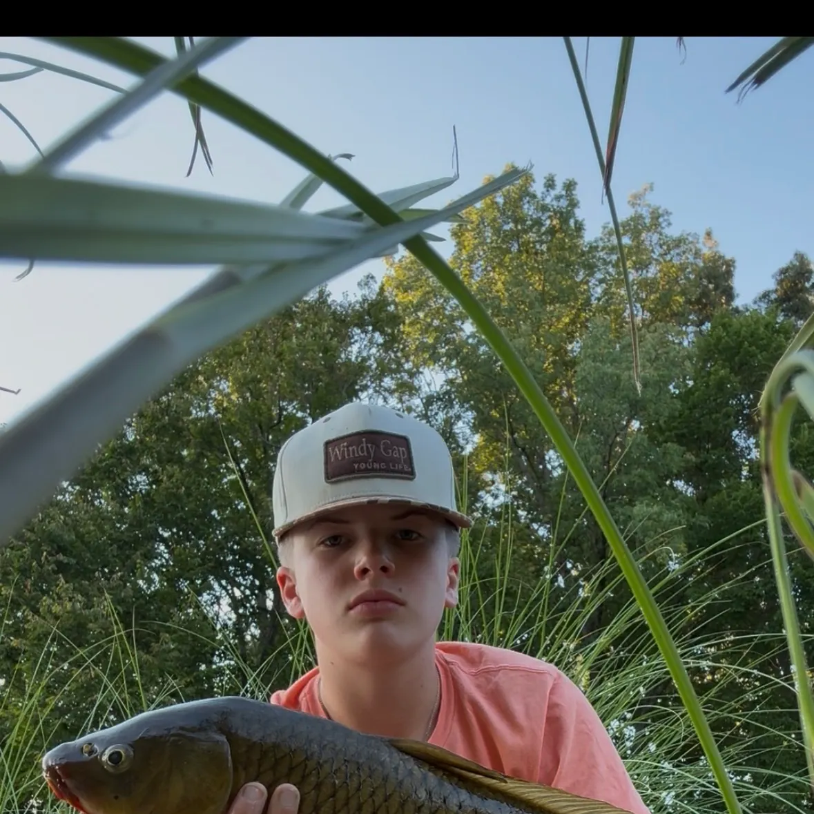 Common carp caught on Fishbrain