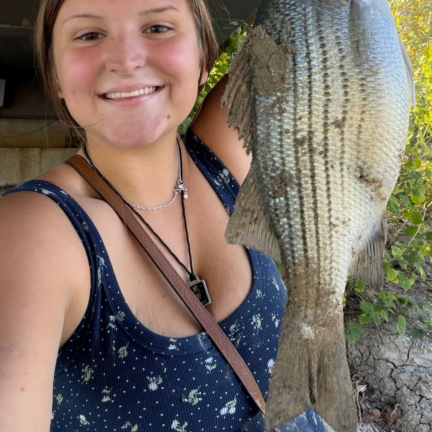 Wiper caught on Fishbrain
