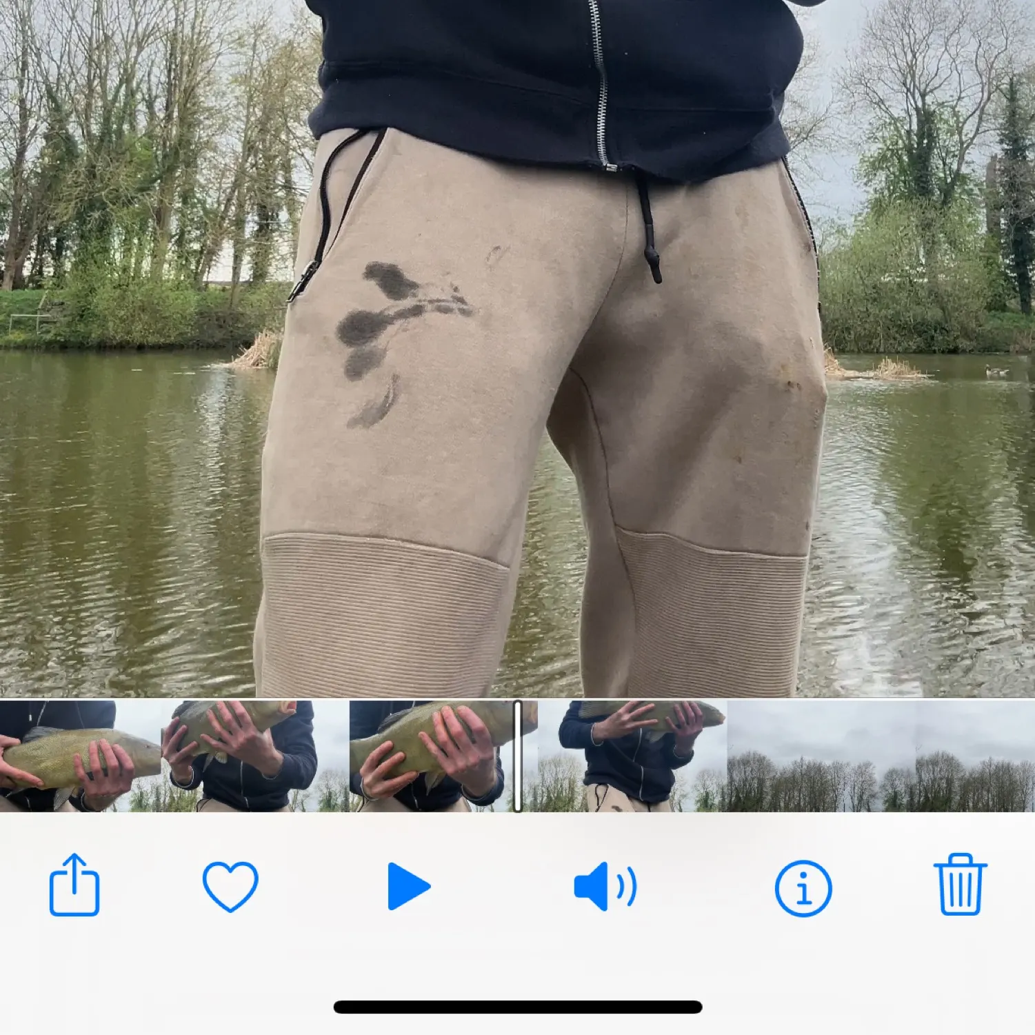 recently logged catches