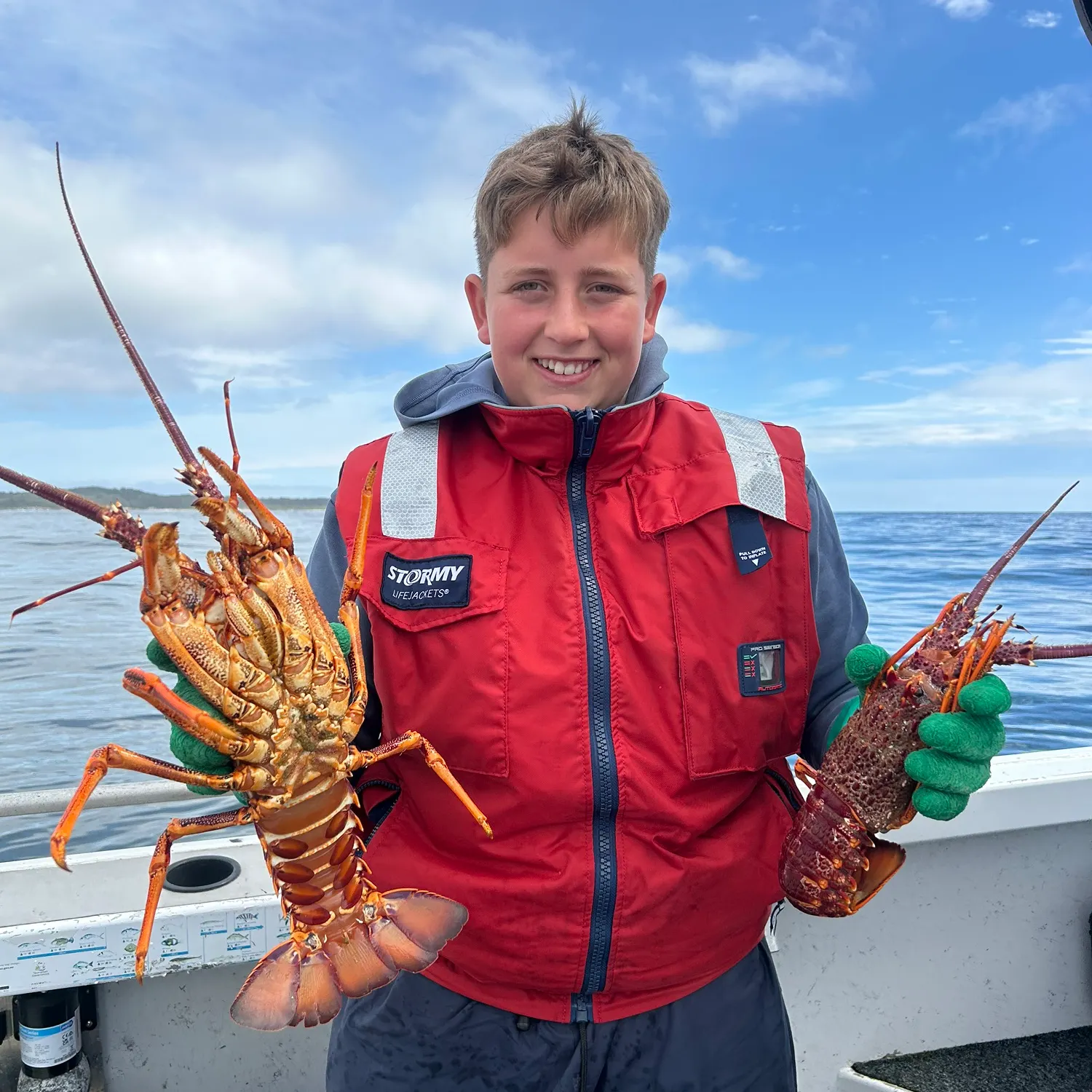 The most recent Southern rock lobster catches on Fishbrain