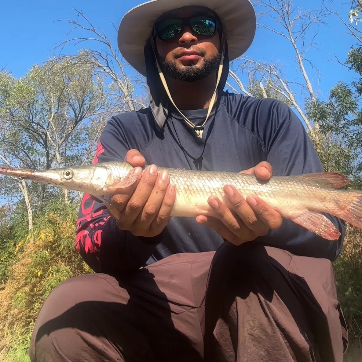Shortnose gar caught on Fishbrain