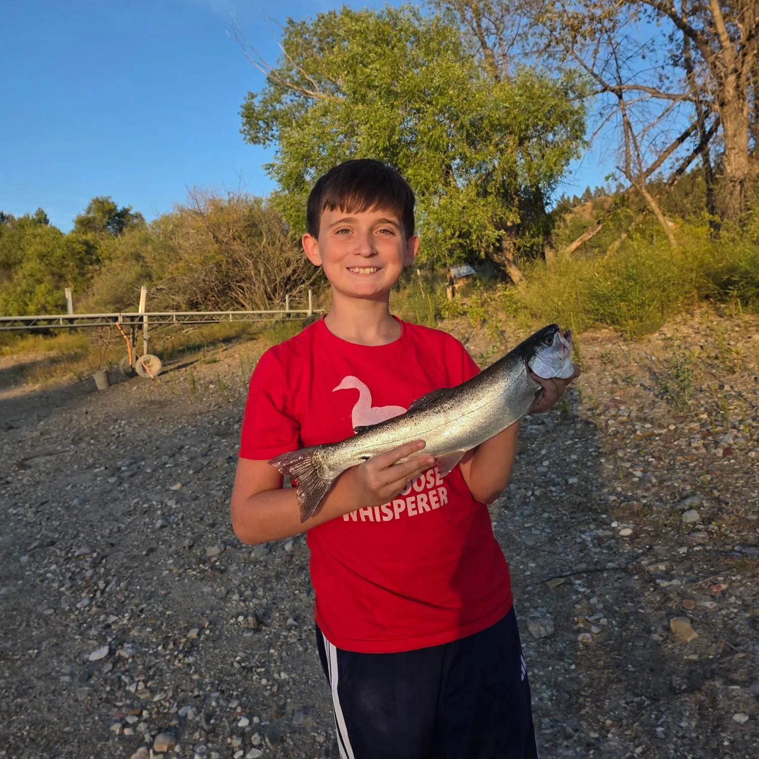 Rainbow trout caught on Fishbrain