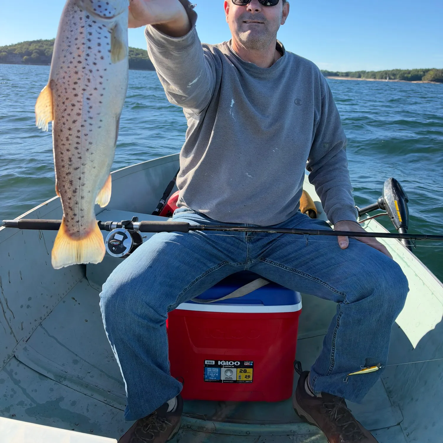 Sea trout caught on Fishbrain